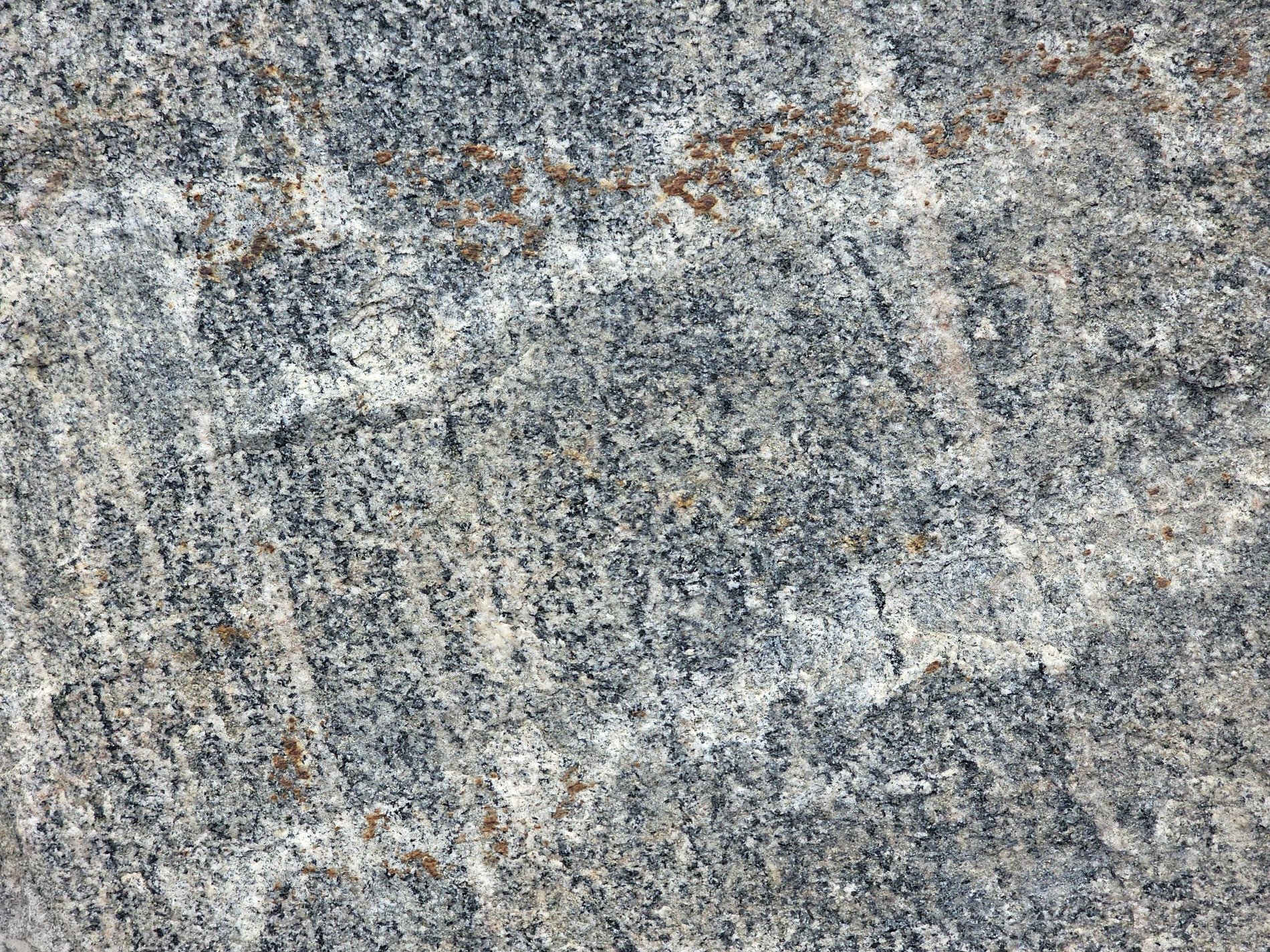 Grey ice on the stone, white veins trace the silver skin, grit holds the cold face