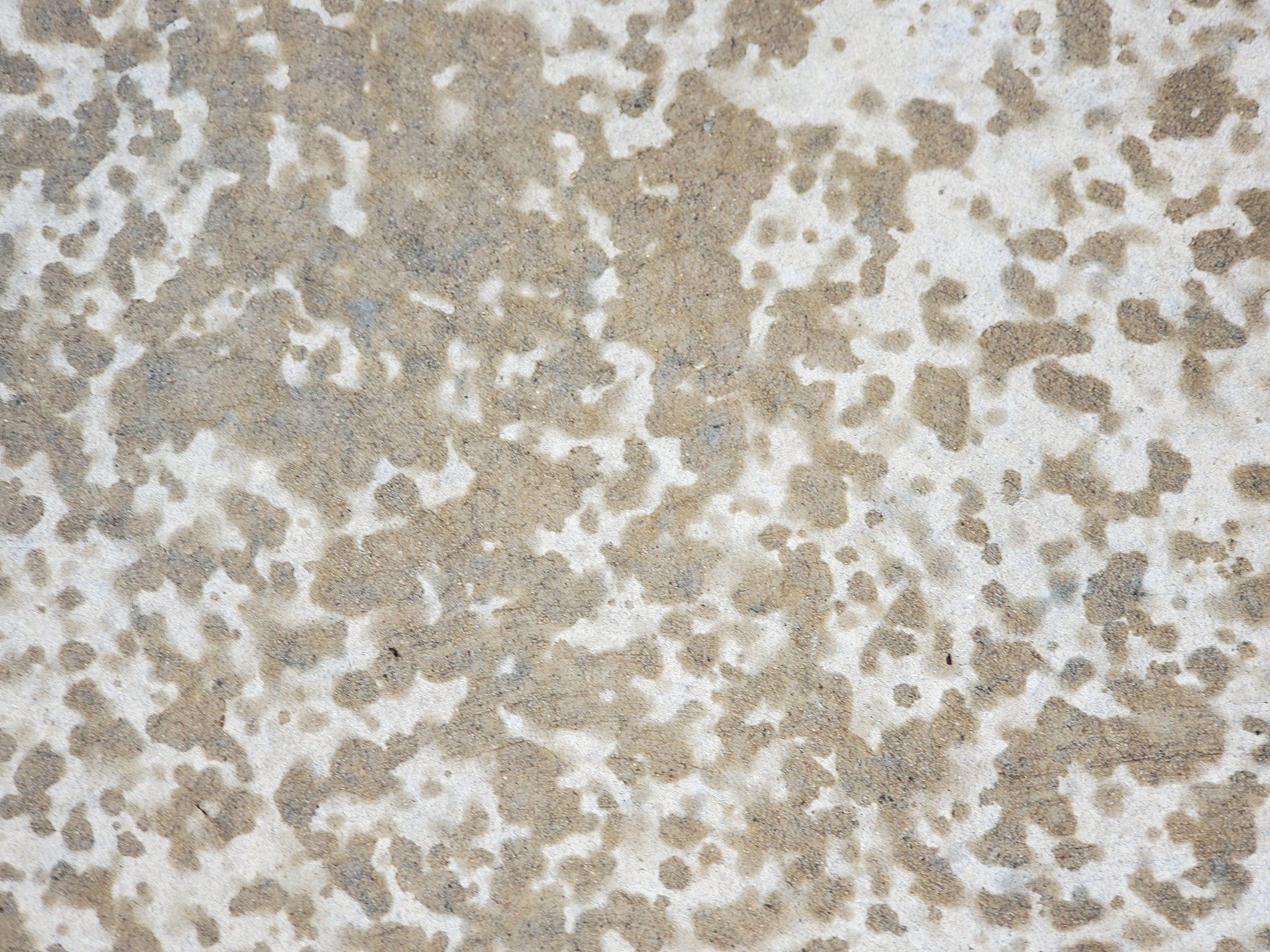 Grey skin flows through fast, flat lines trace the field, grit holds the finish