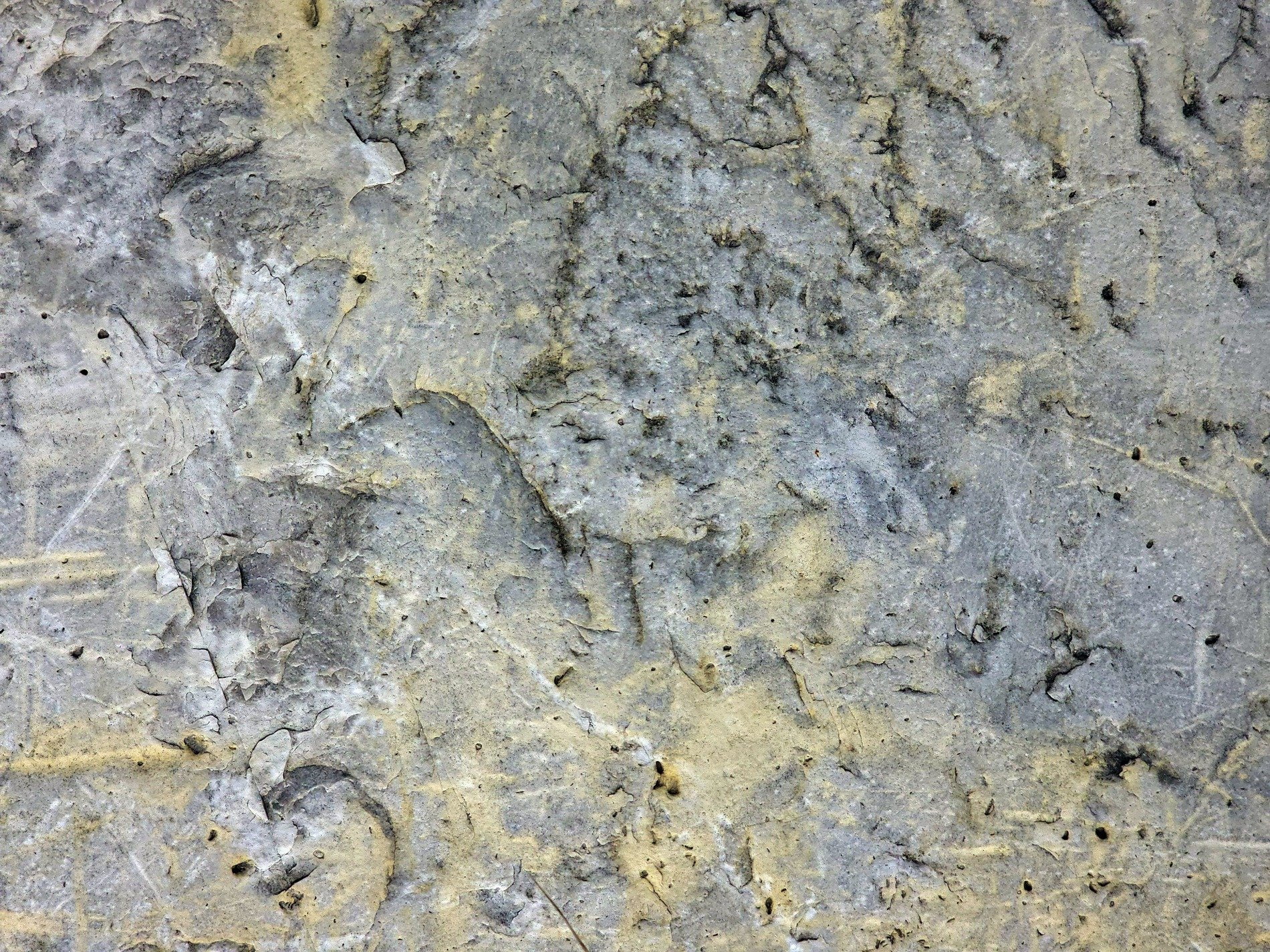 Grey skin pits and cracks, yellow stains bleed through the grit, earth claims the surface