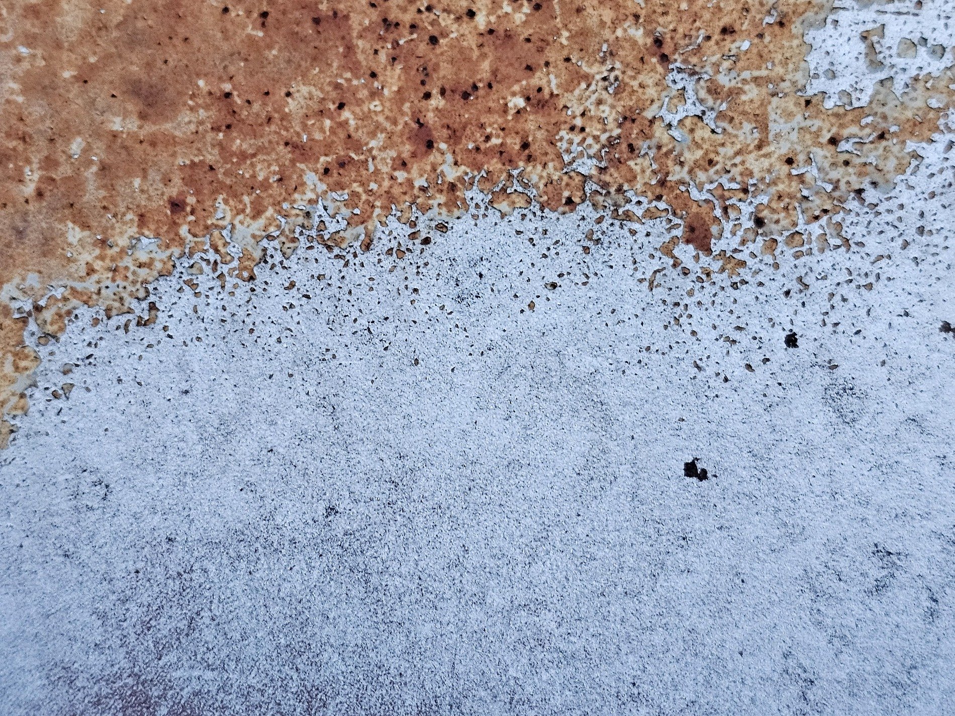 Grey skin turns to dust, dark spots bloom on faded blue, grit holds the pattern