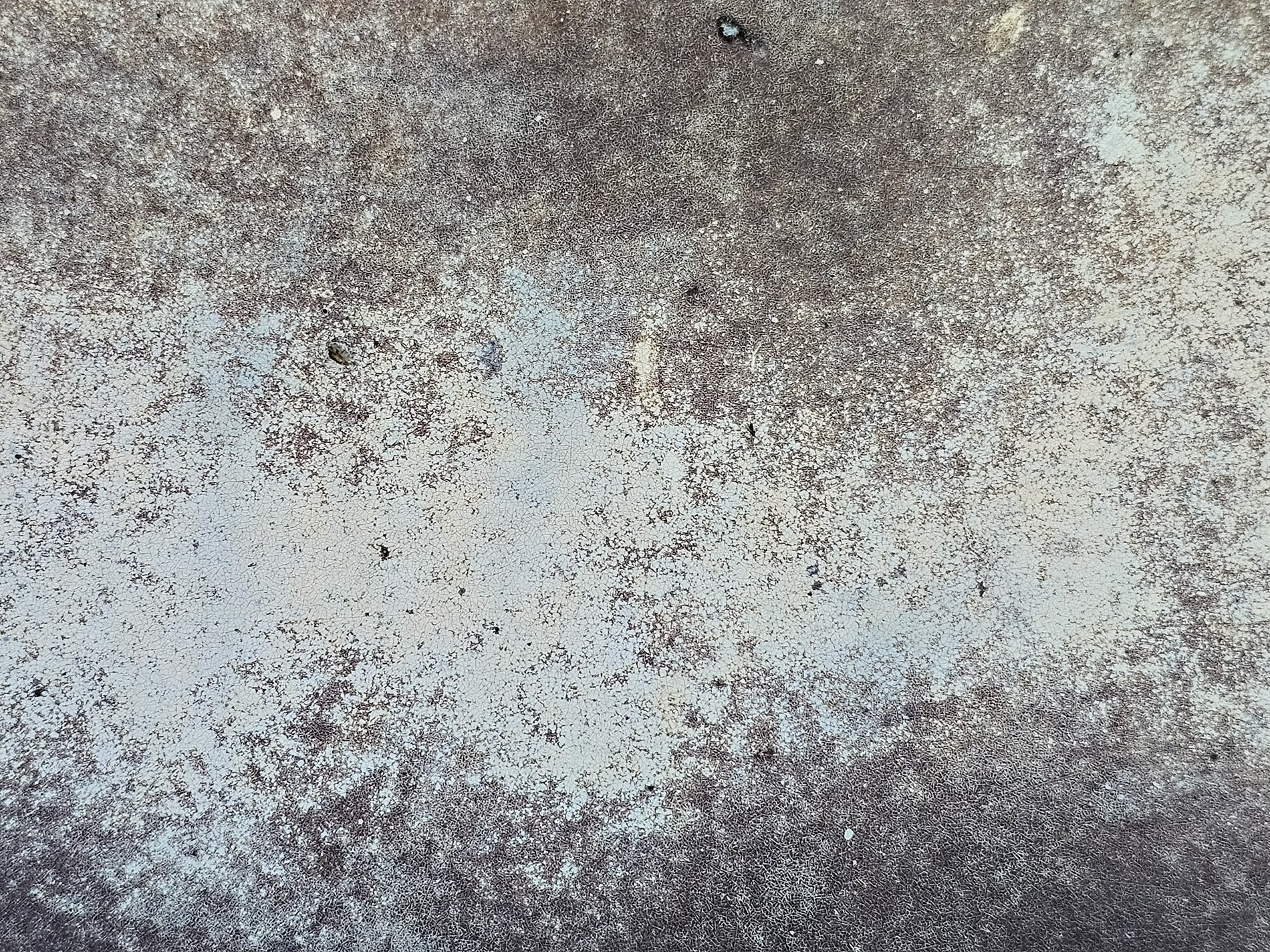 Grey skin turns to dust, dark webs hold the fading light, time claims the finish.