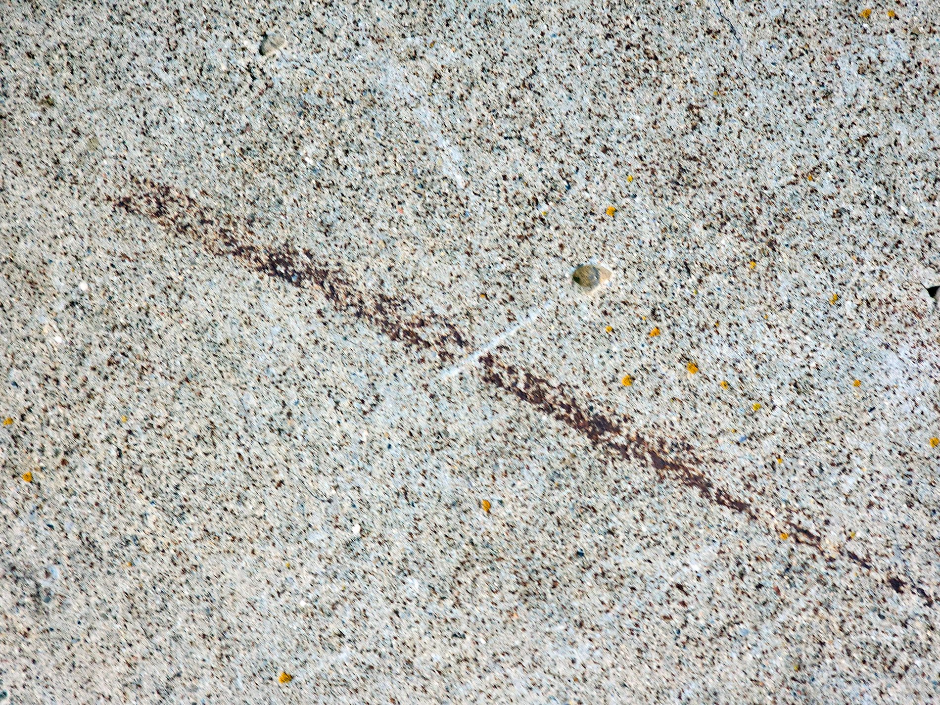 Grey stone grains endure, dark scar cuts the speckled path, lichen starts to bloom