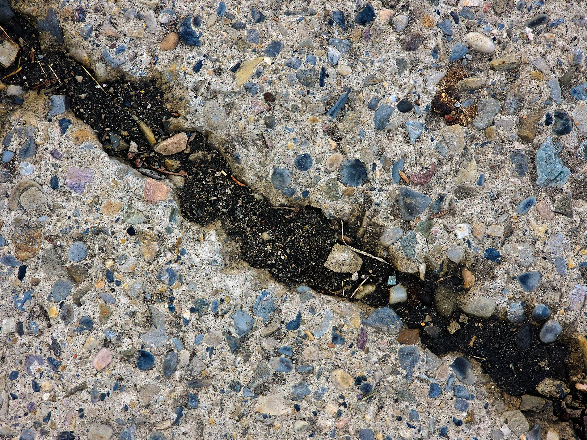 Grey stones hold the path, dark river splits the concrete, earth breaks through the grit.