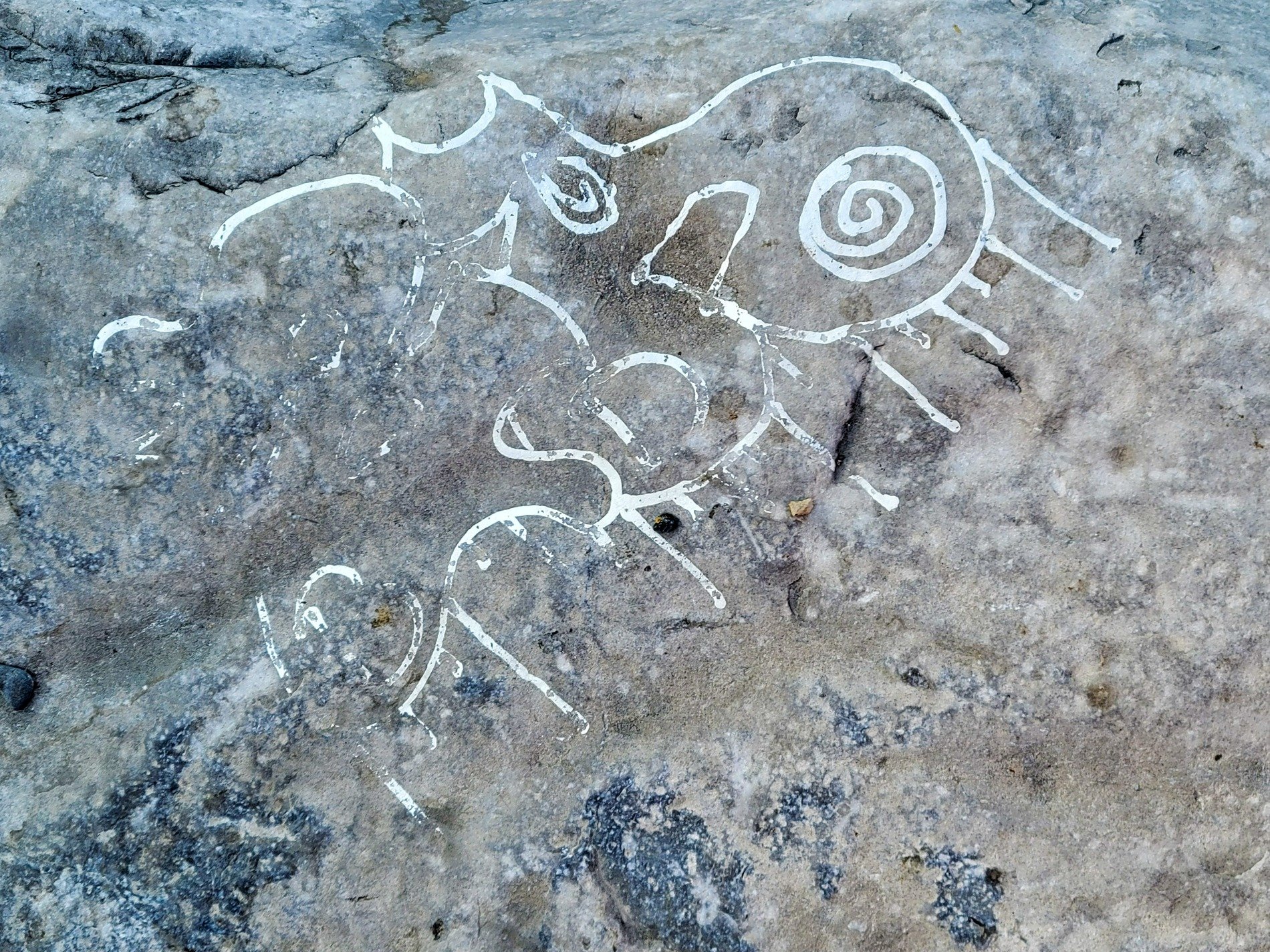 White lines on the rock, spirals wind across the stone, ancient signs remain