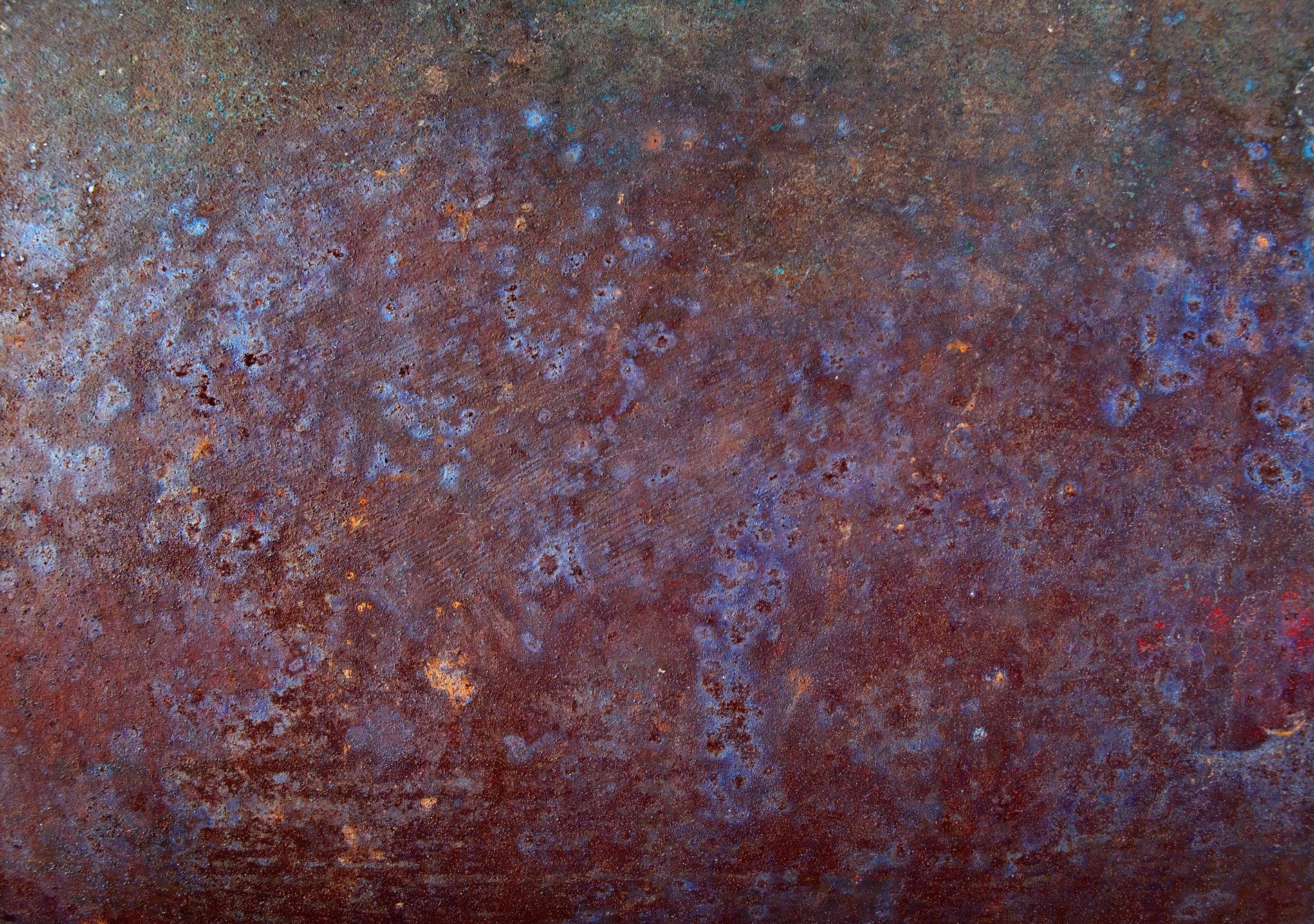 Rusted iron skin, purple blooms in dark decay, textures of the past