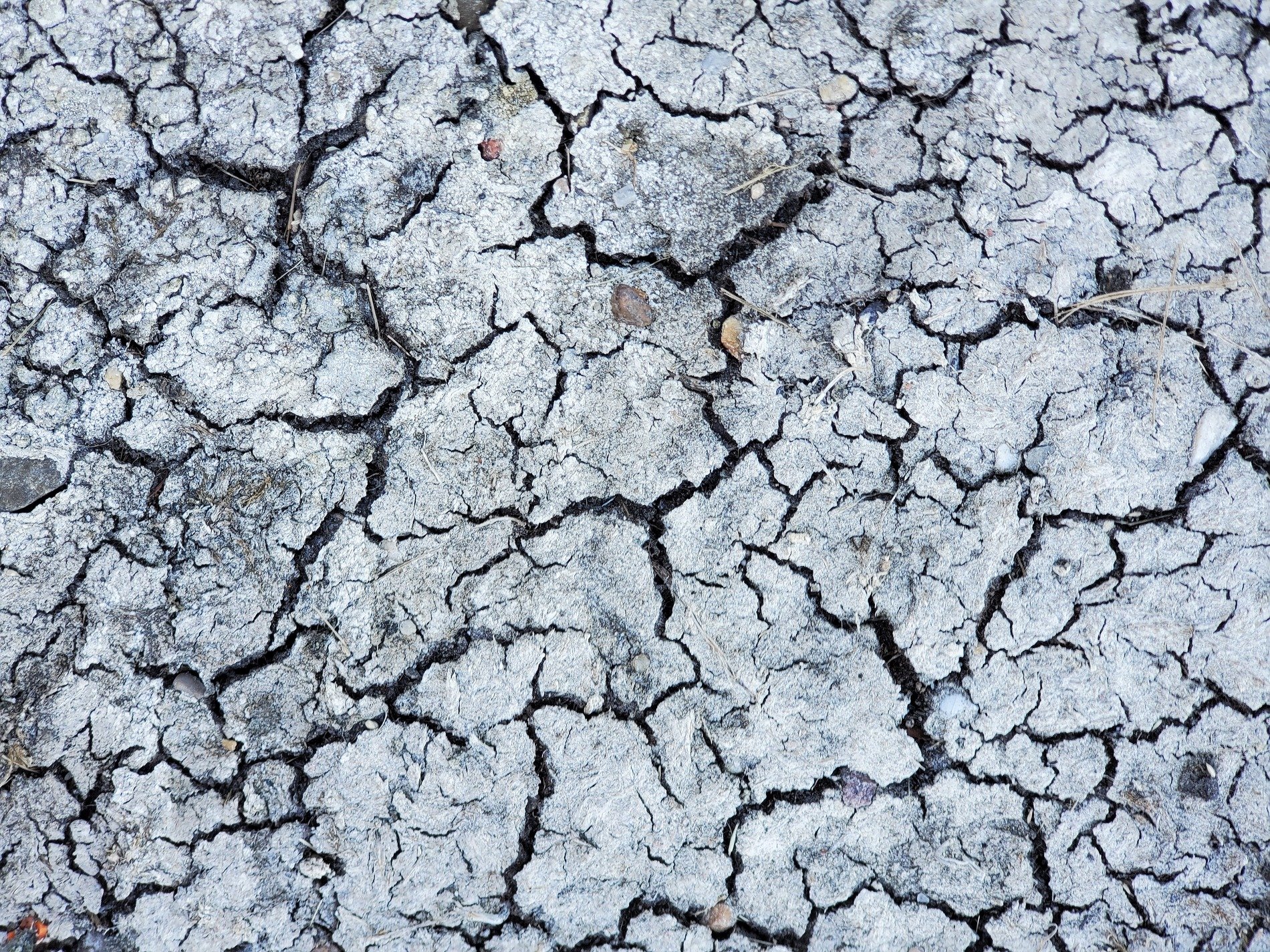 Jagged lines divide the field, deep shadows trace the floor, dry years leave a mark