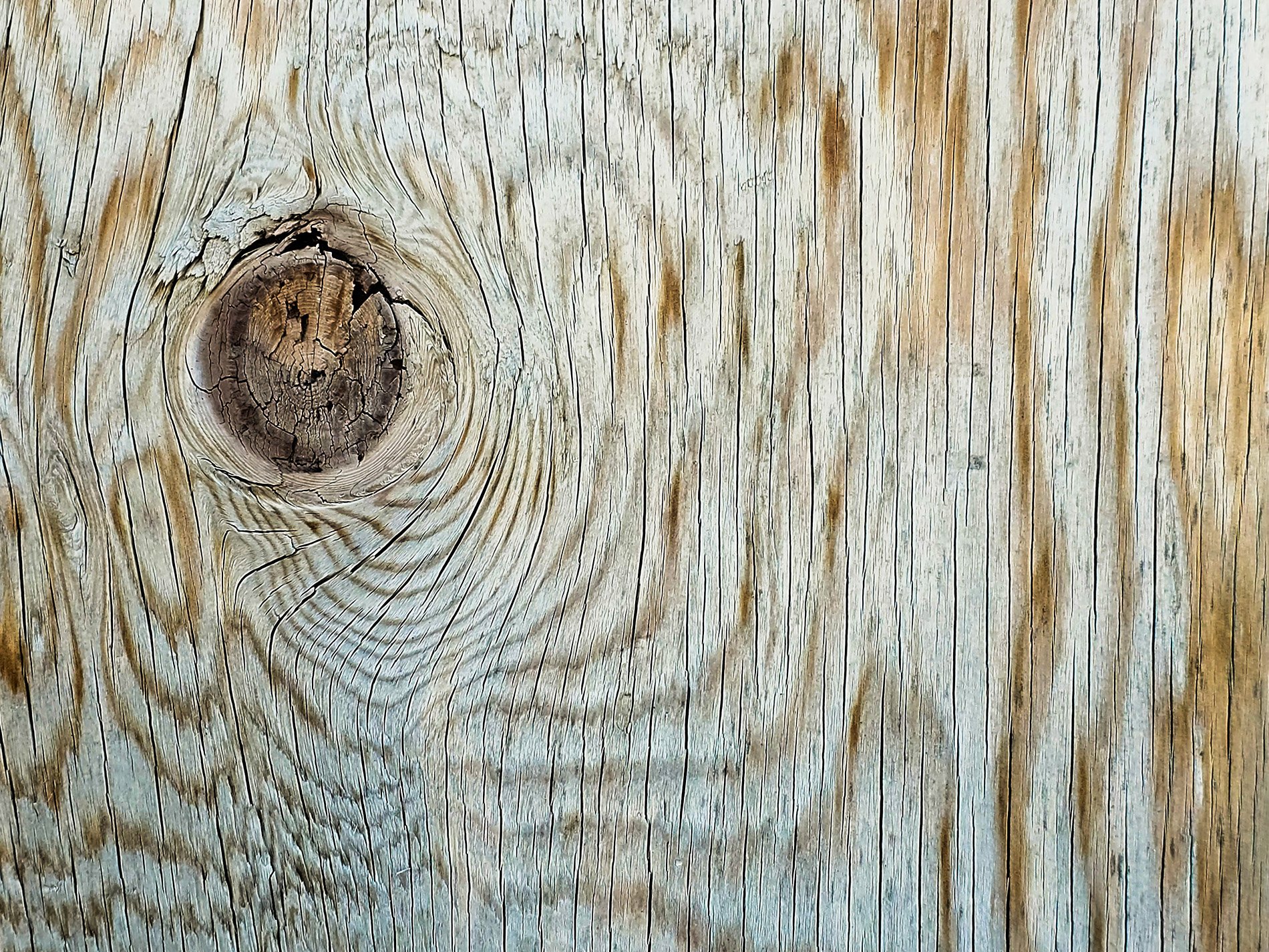 Lines of aged silver, A dark eye locked in the grain, Time etched in the knot