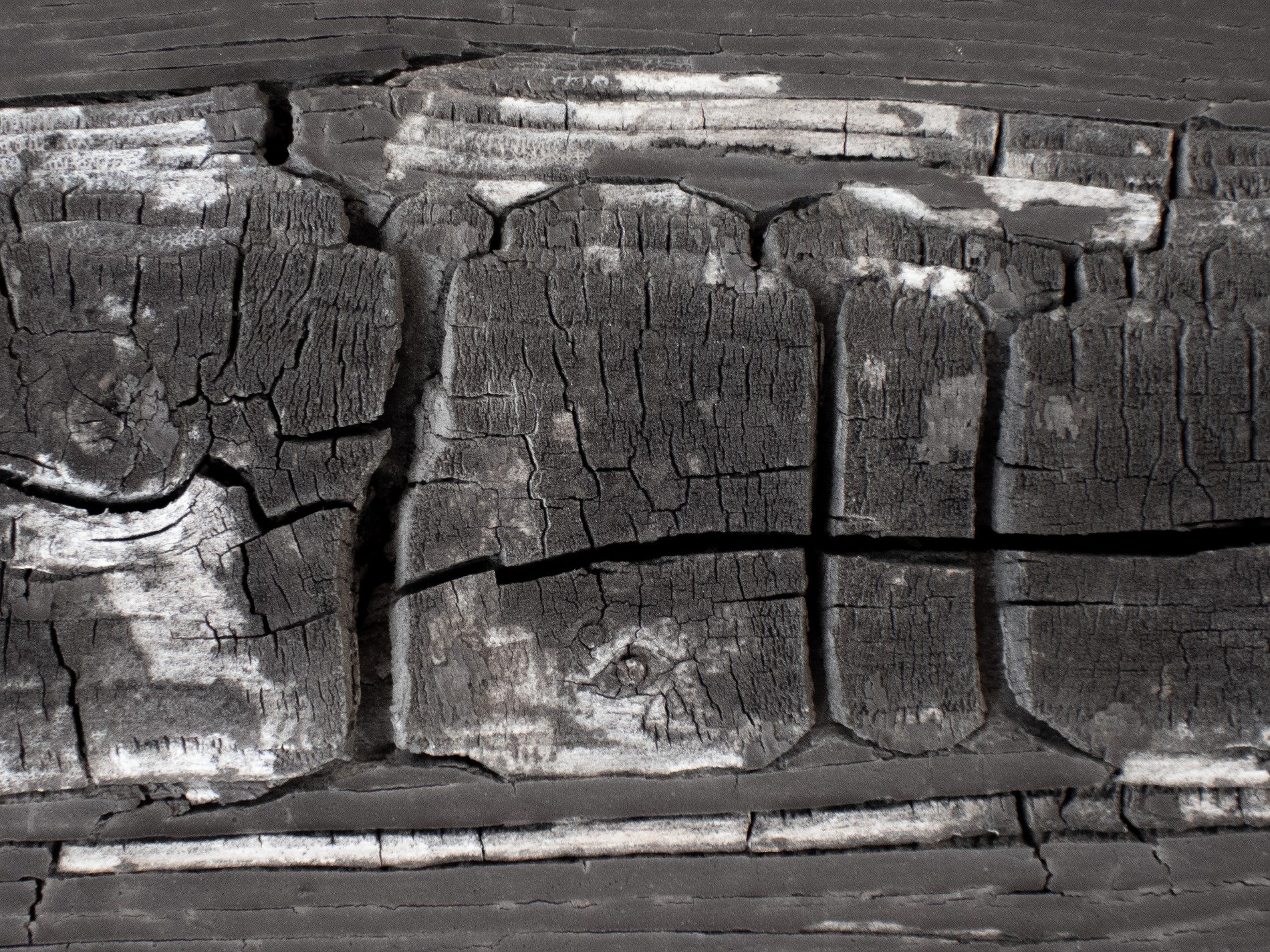 Orange bricks meet white mortar, rough grid traces the wall, grit holds the masonry