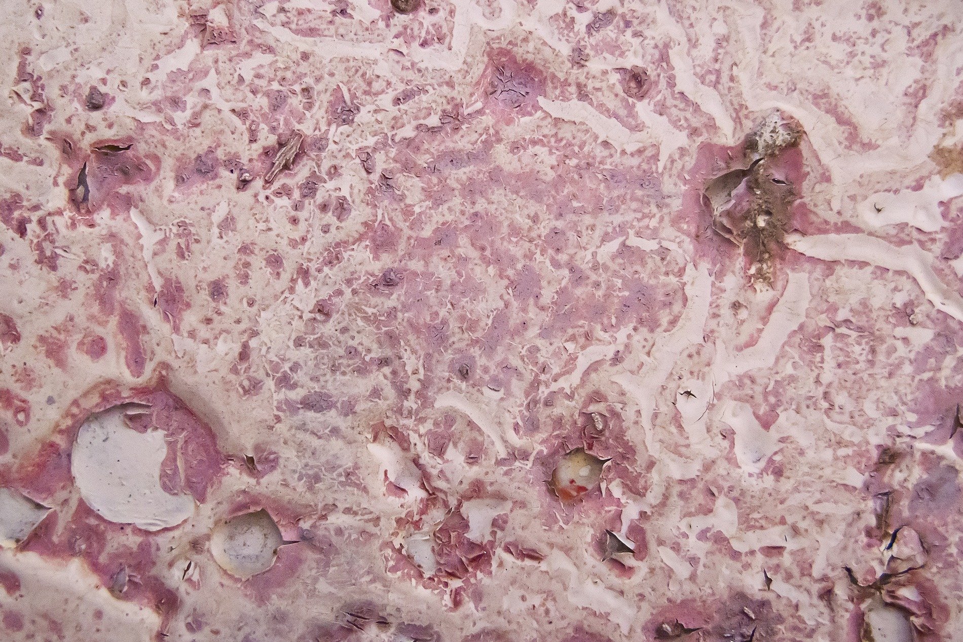 Faded pink flakes peel, pale layers crumble to dust, time leaves hollow scars