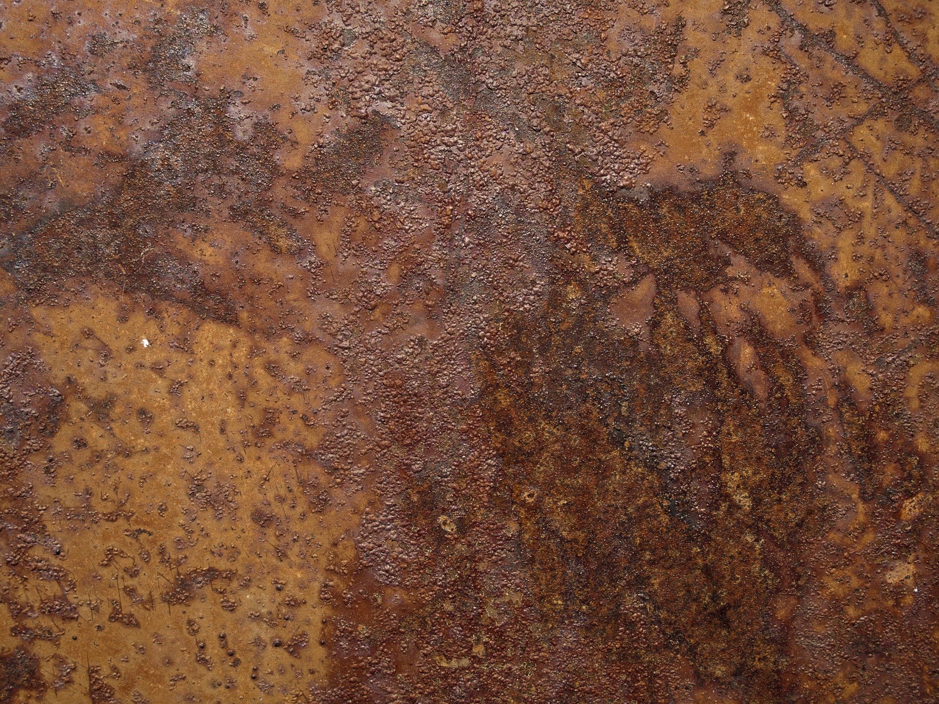 Orange scales hold the grit, deep pits trace the field, time leaves a thick mark