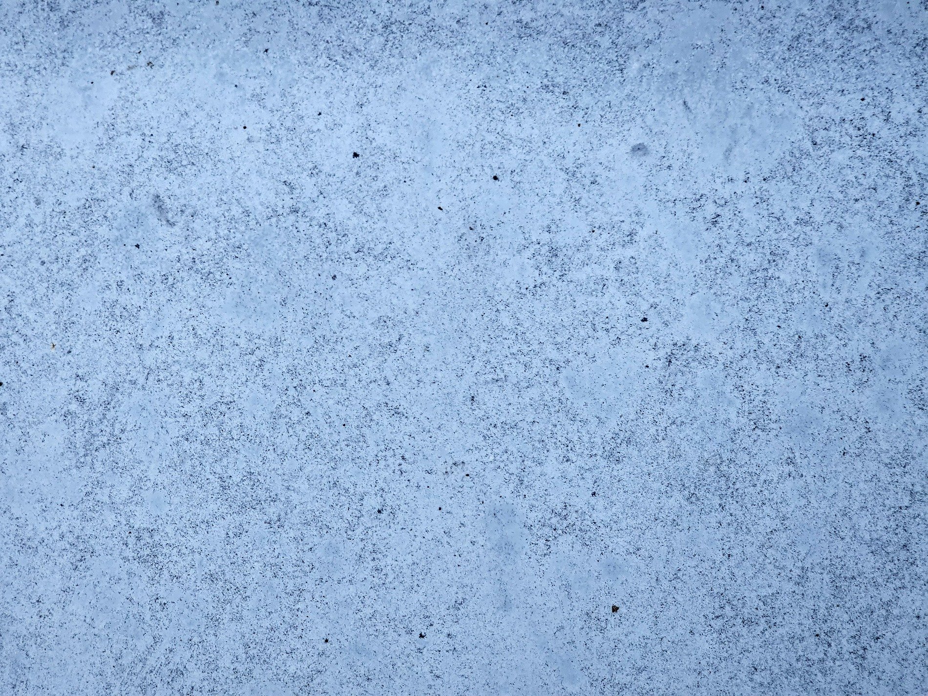 Pale blue fills the frame, tiny black specks mark the skin, grit holds the cold face