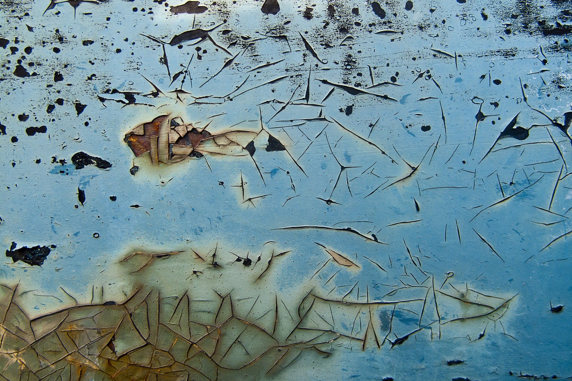 Pale blue holds the light, tan dust meets the heavy skin, grit marks the finish