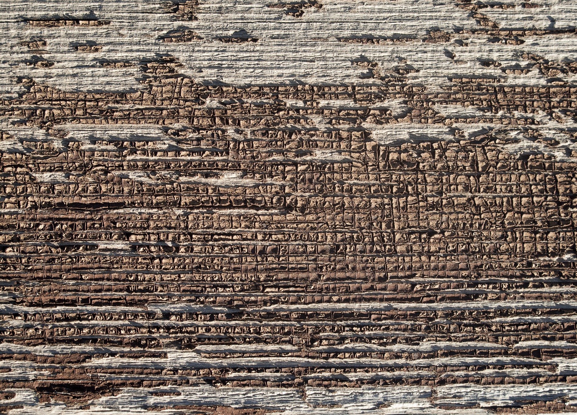 Pale blue turns to grey, tiny rust spots mark the skin, grit holds the pattern