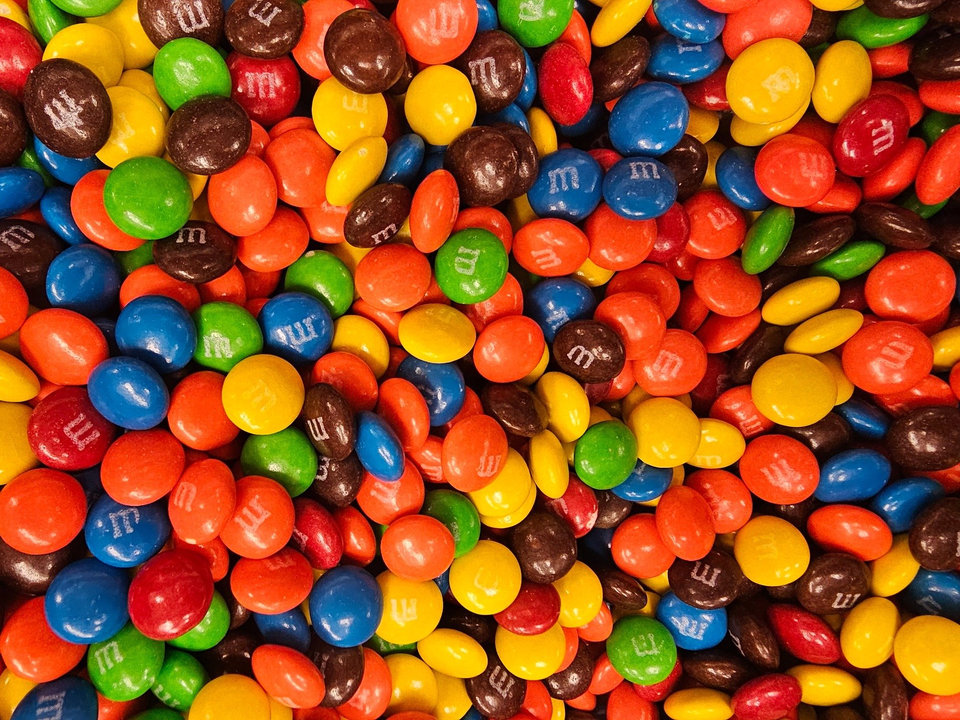 Pale frost holds light, crystalline paths mark the skin, grit meets the cold