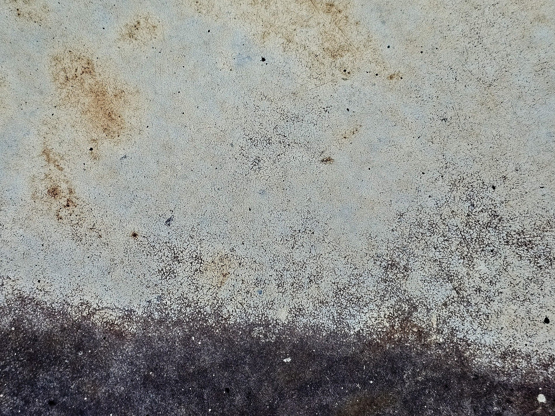 Pale skin shows the dark, cream paint meets the heavy grit, weather marks the wall