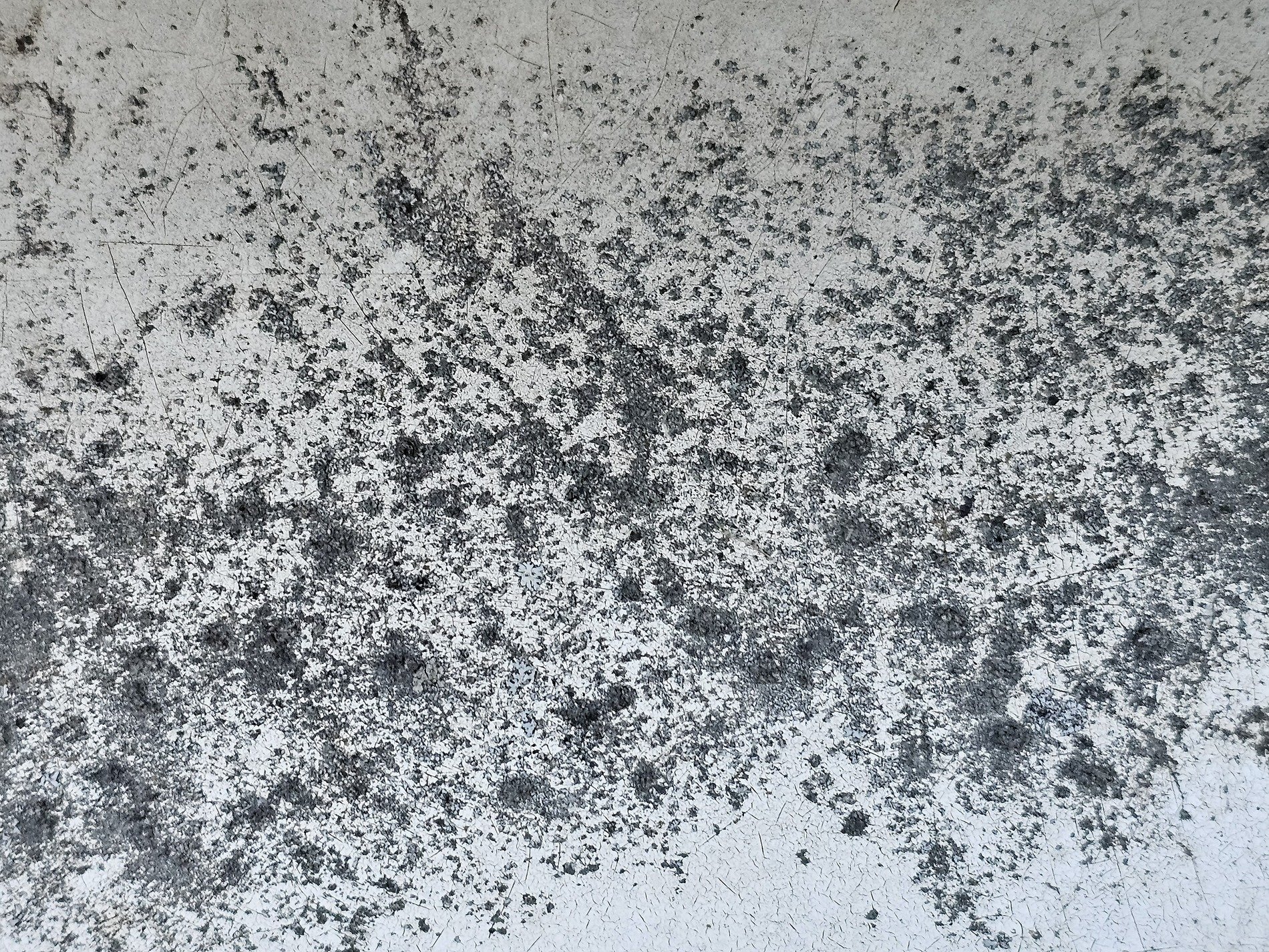 Pale skin shows the dark, white paint meets the heavy grit, weather marks the wall