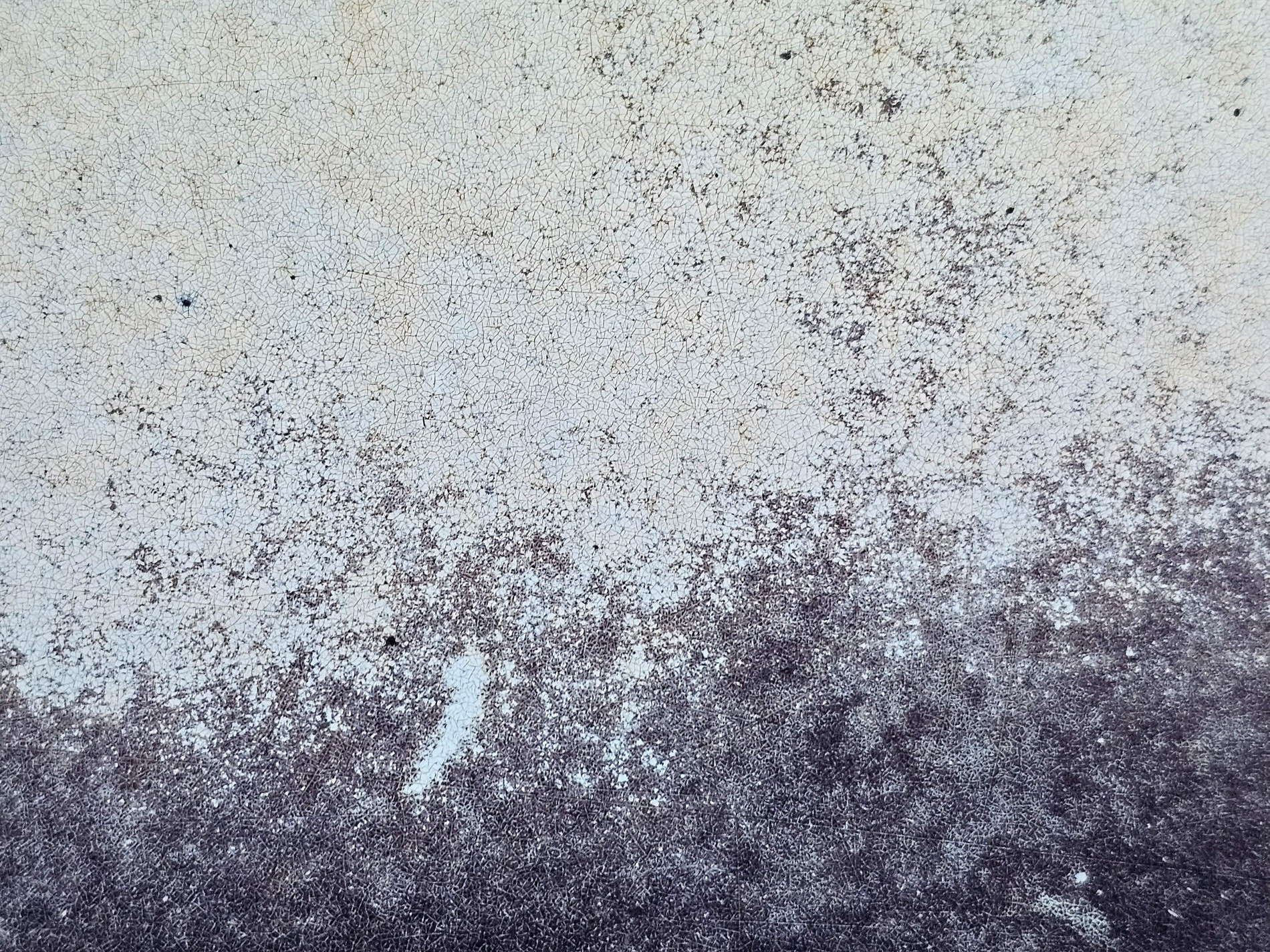 Pale skin cracks and fades, dark shadows rise from beneath, time etches its web