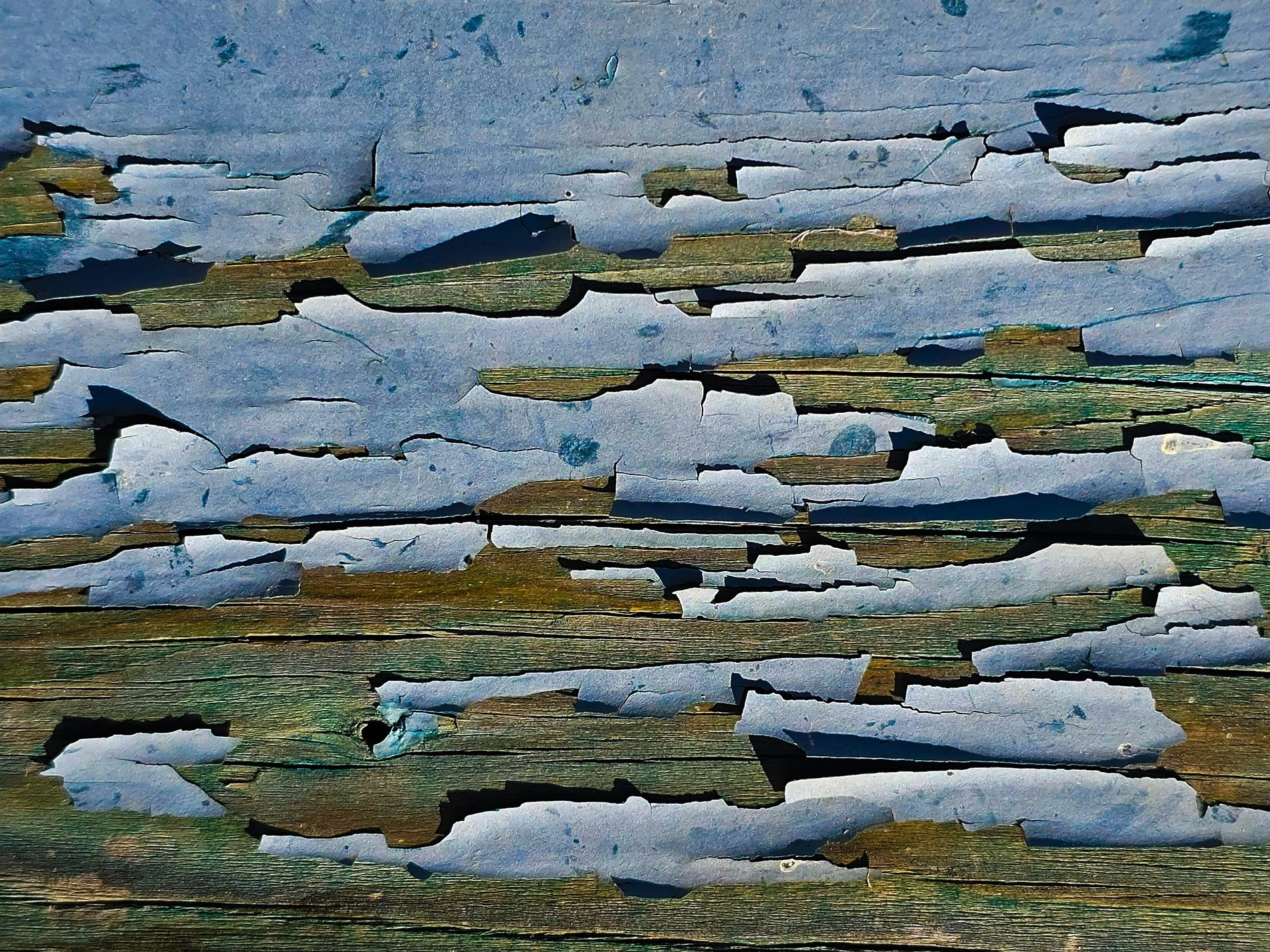 Peeling paint on the board, white flakes show the wood grain, time wears the timber