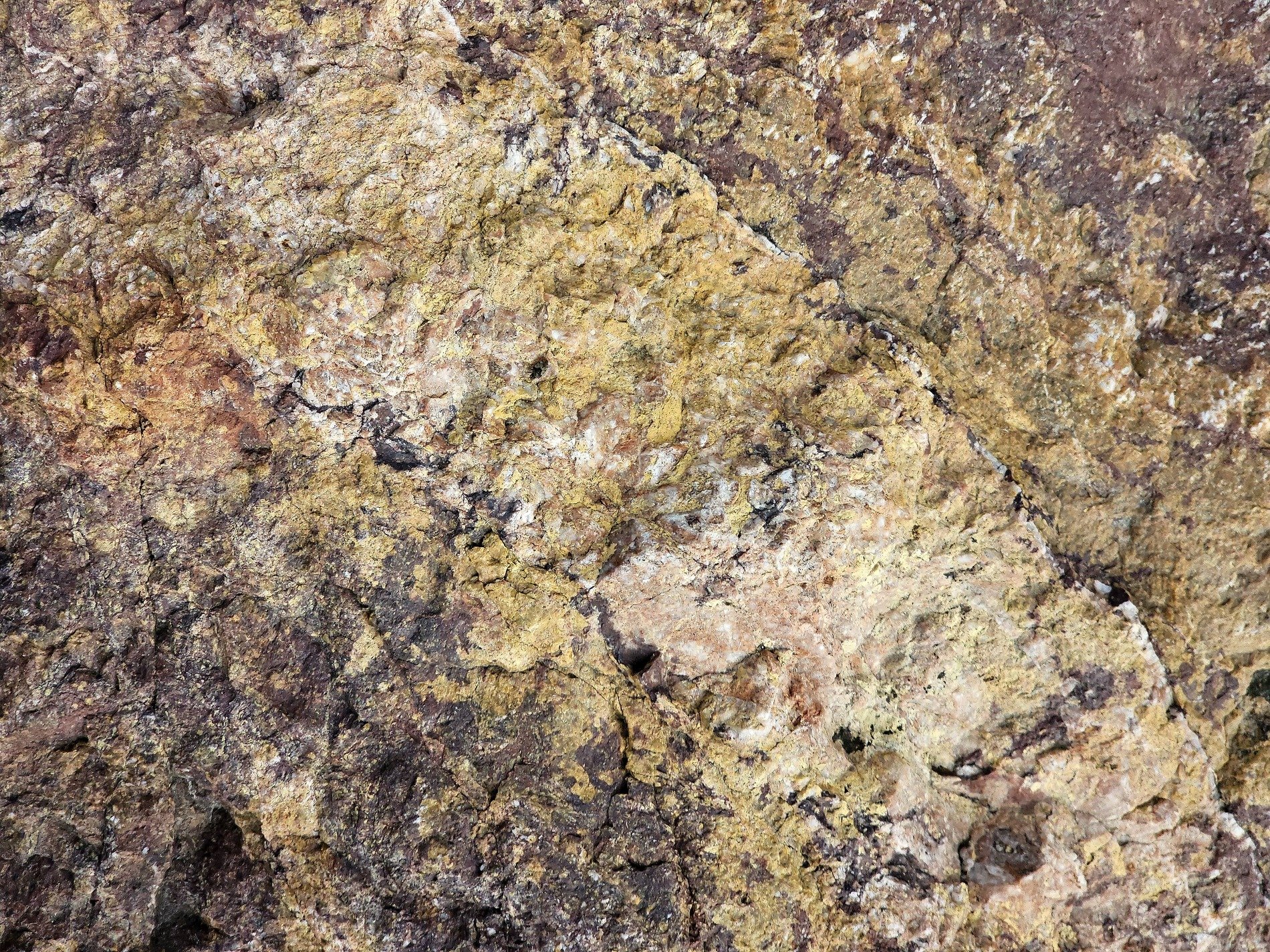 Pink veins in the grey, black specks scatter on stone, grit holds the pattern
