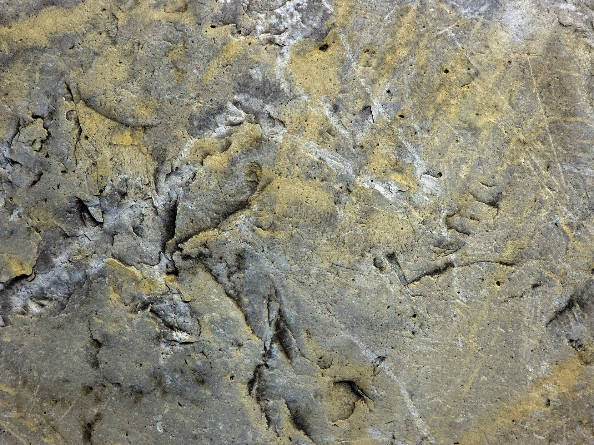 Pink veins in the stone, crystalline grit marks the rock, mineral flows deep