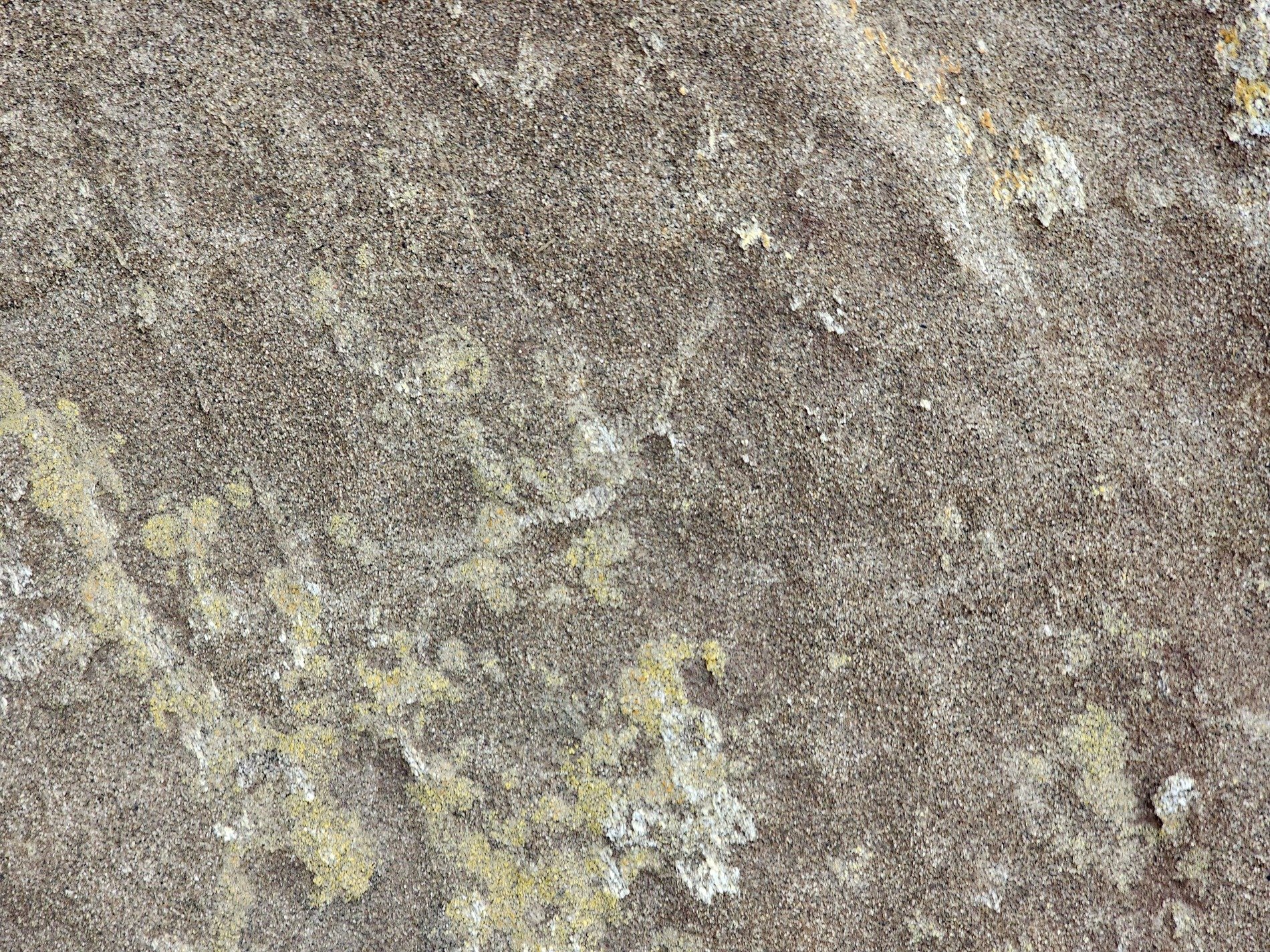 Sandstone grains are worn, lichen marks the ancient face, earth tones blend as one