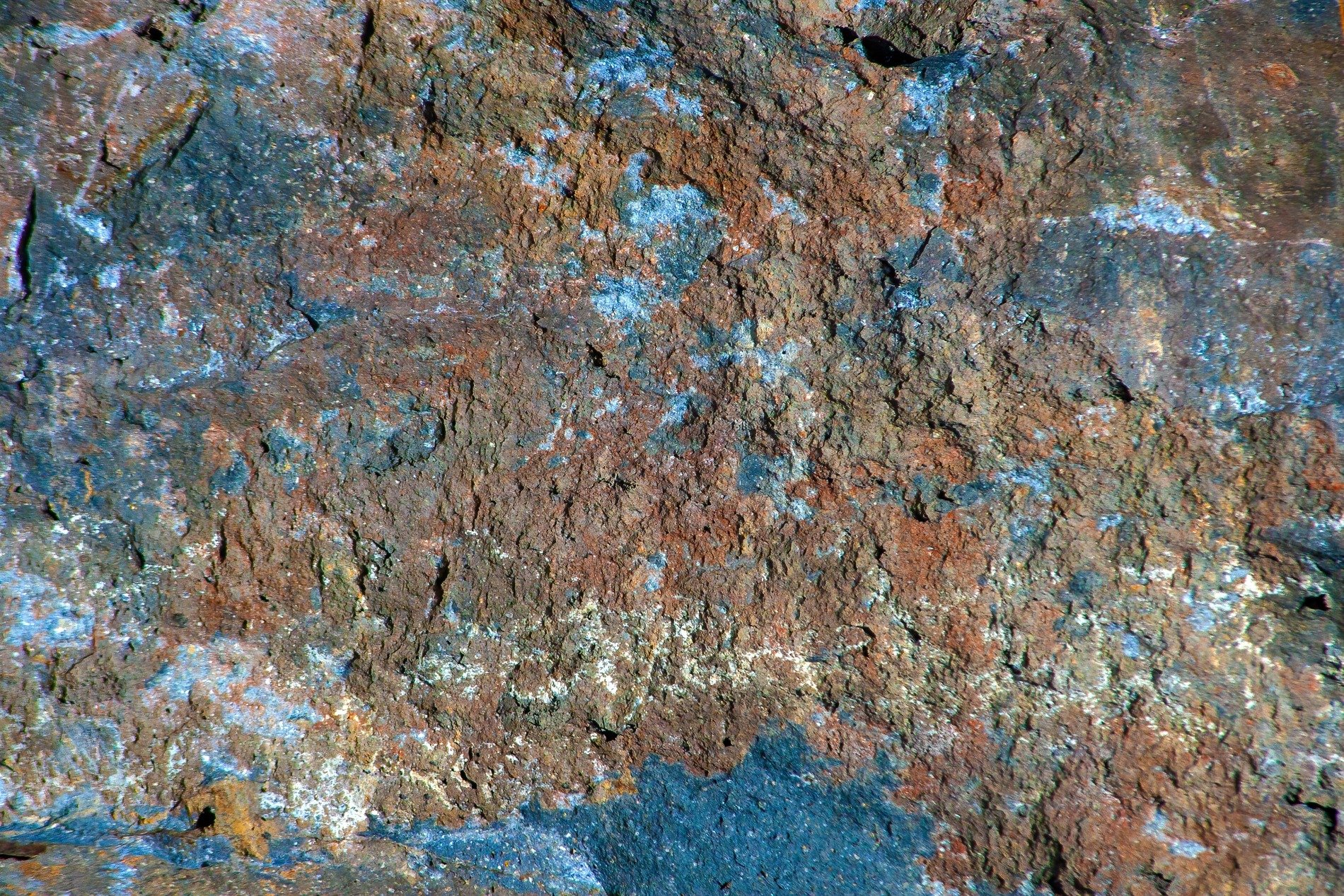 Red fields meet the blue, heavy grains crust on the skin, mineral flows fast