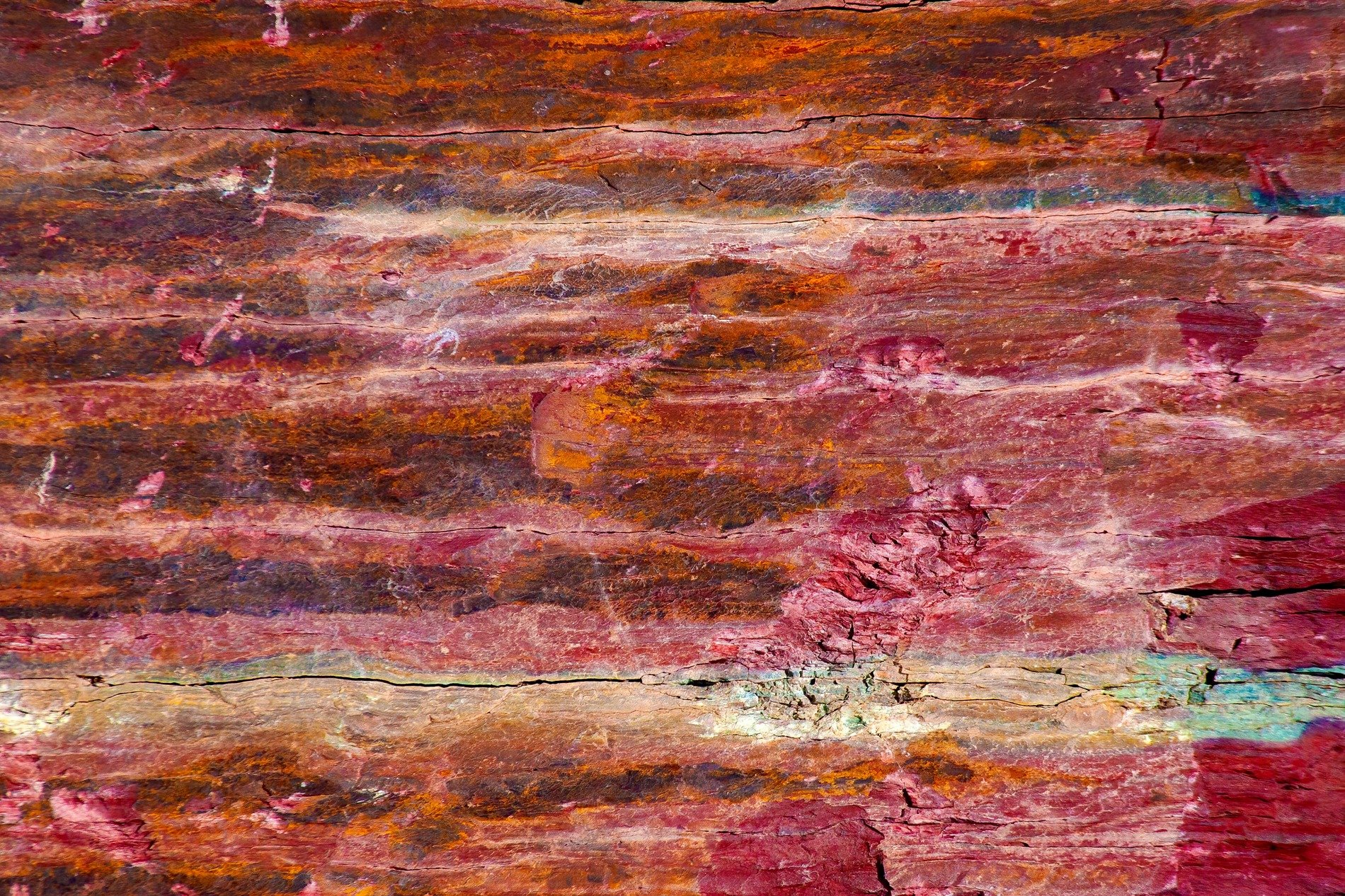 Red grain flows like blood, orange strata mark the age, lines trace the pattern