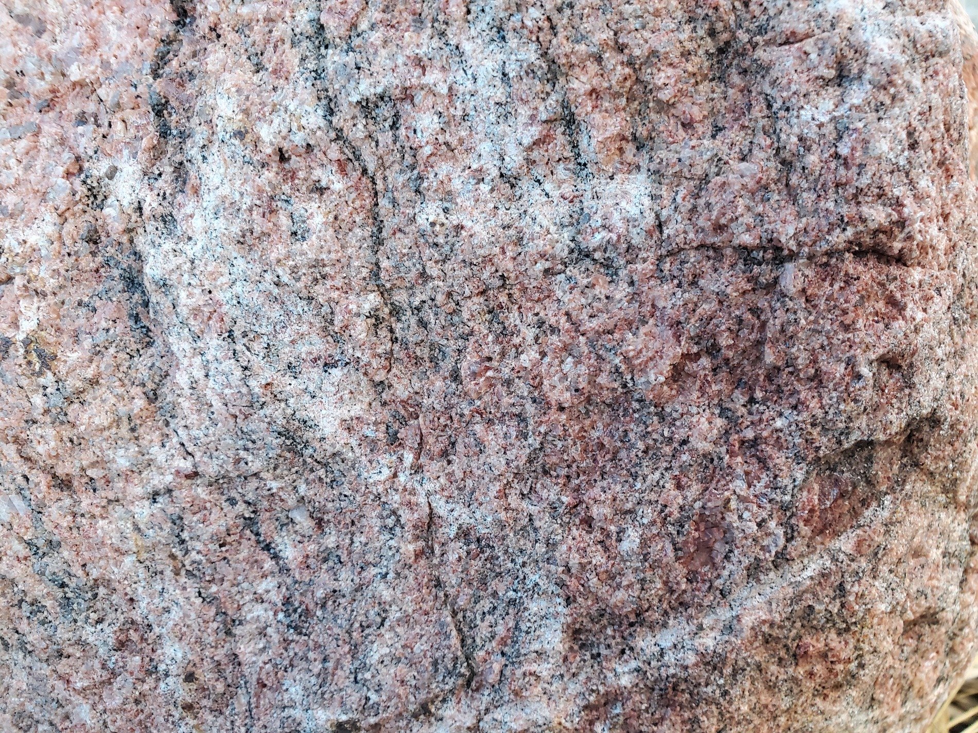 Red grains meet the blue, rough lines trace the heavy skin, time wears the finish