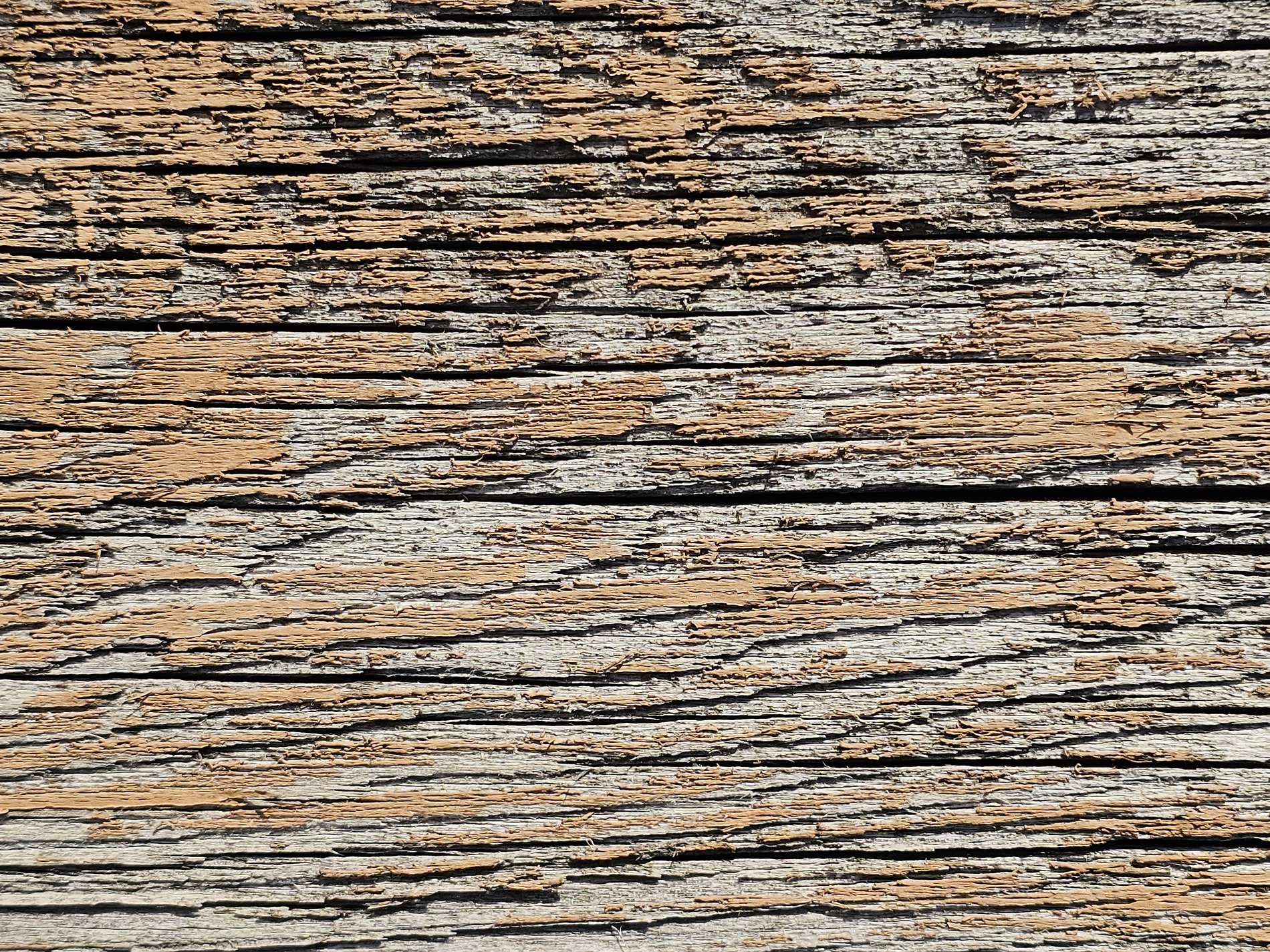 Weathered silver grain, orange paint clings to the ridge, deep cracks mark the years