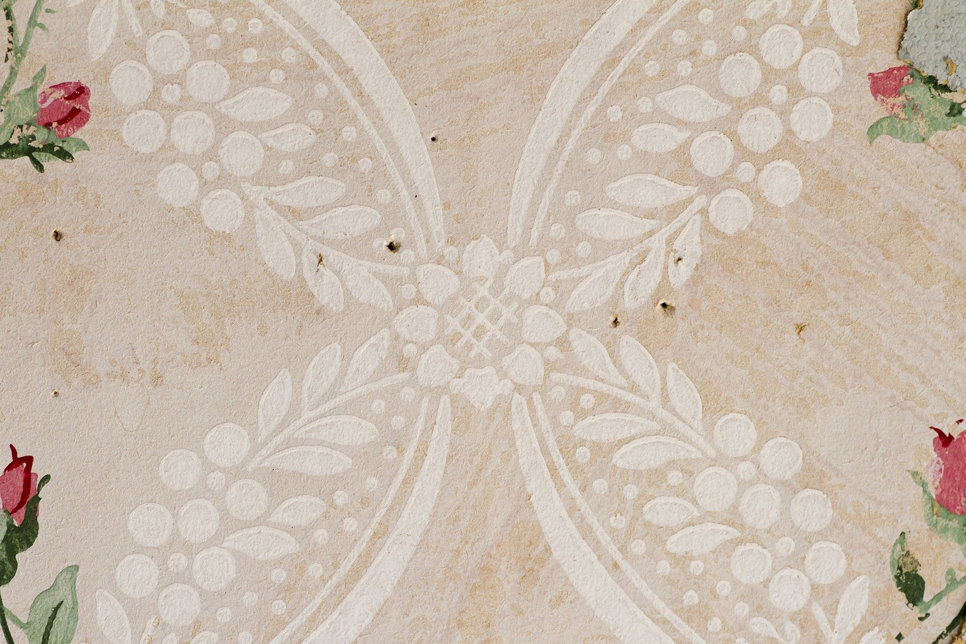 Red rust eats the steel, orange veins bleed on the plate, time leaves a thick mark