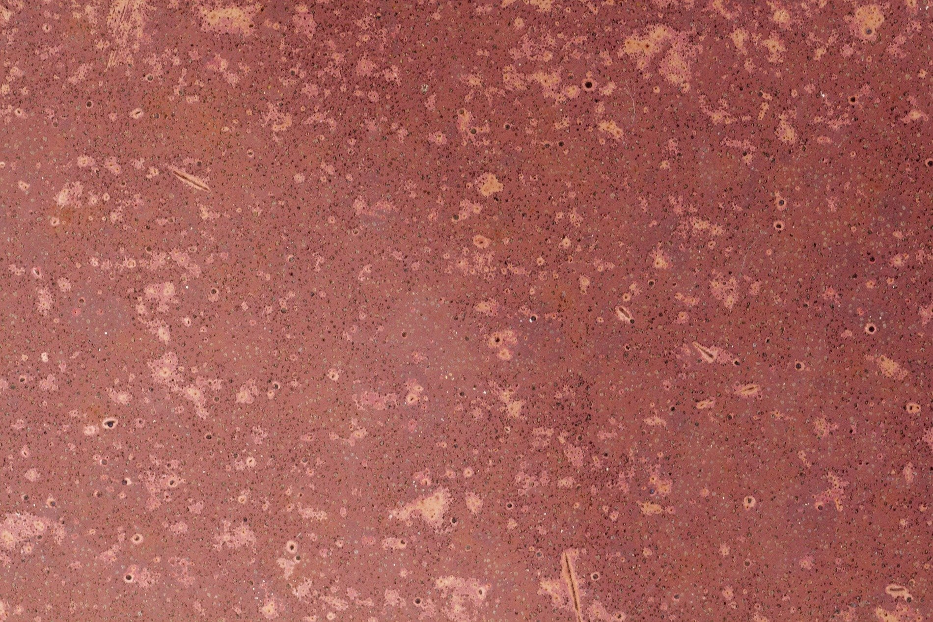 Red skin meets the rust, orange veins bleed on the field, time leaves a thick mark