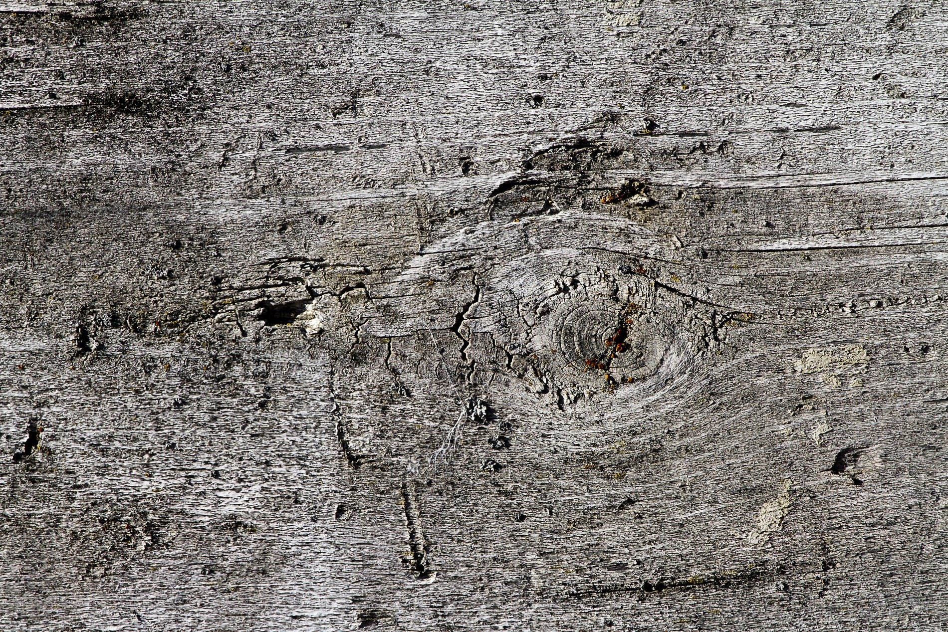 Red skin peels away, orange rust takes the heavy car steel, earth returns to grit