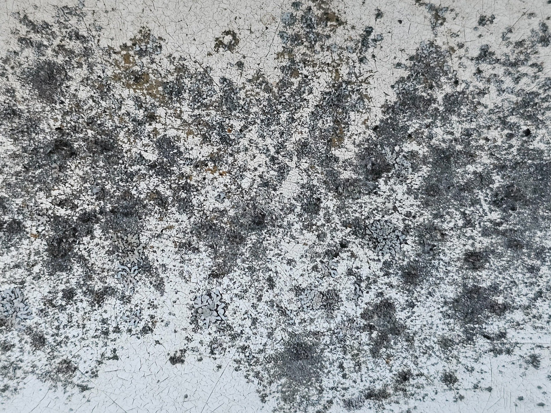 Red spots mark the field, orange mist on the surface, decay takes the light