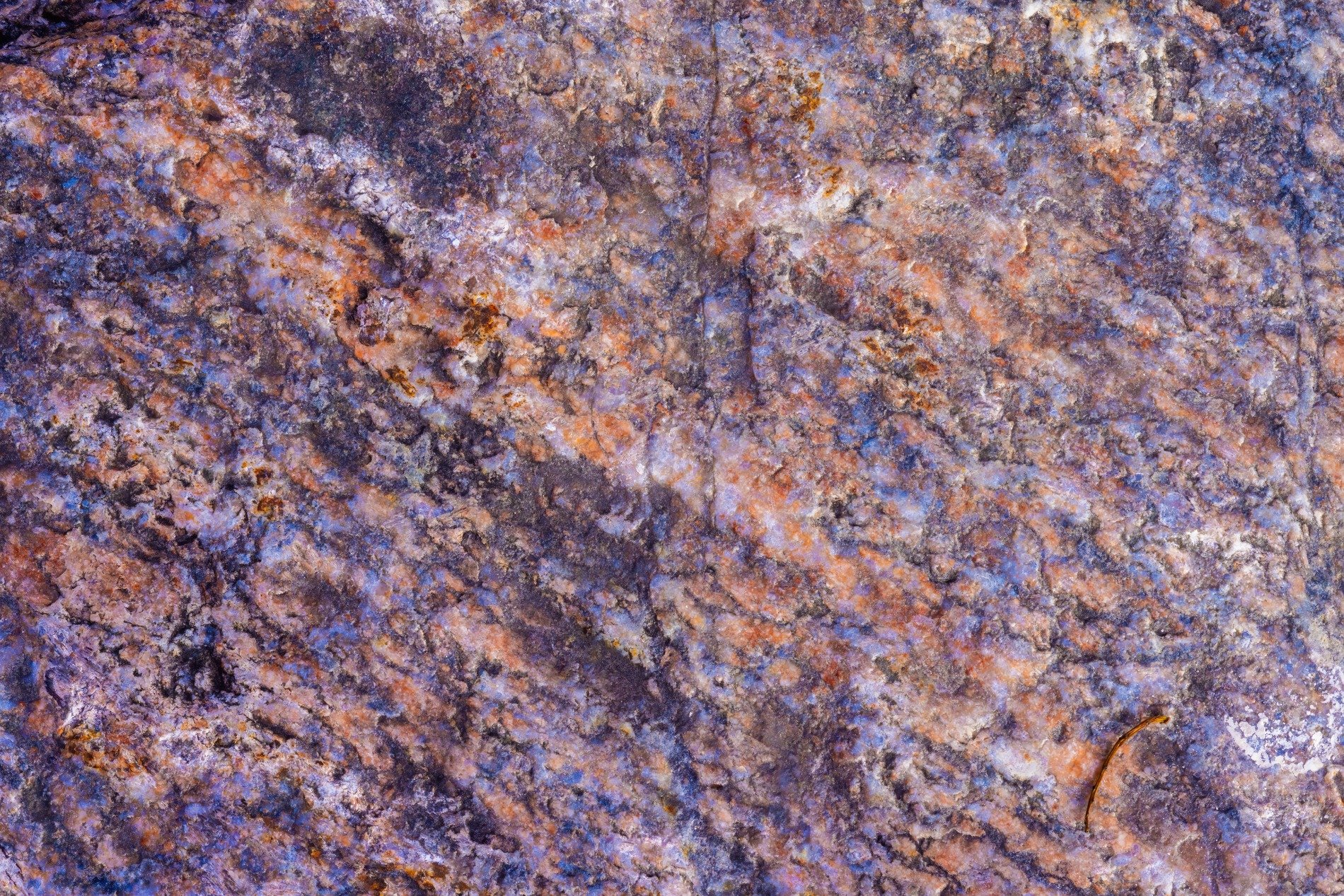 Rough pits scar the blue, orange rust meets the grey skin, time wears the pattern