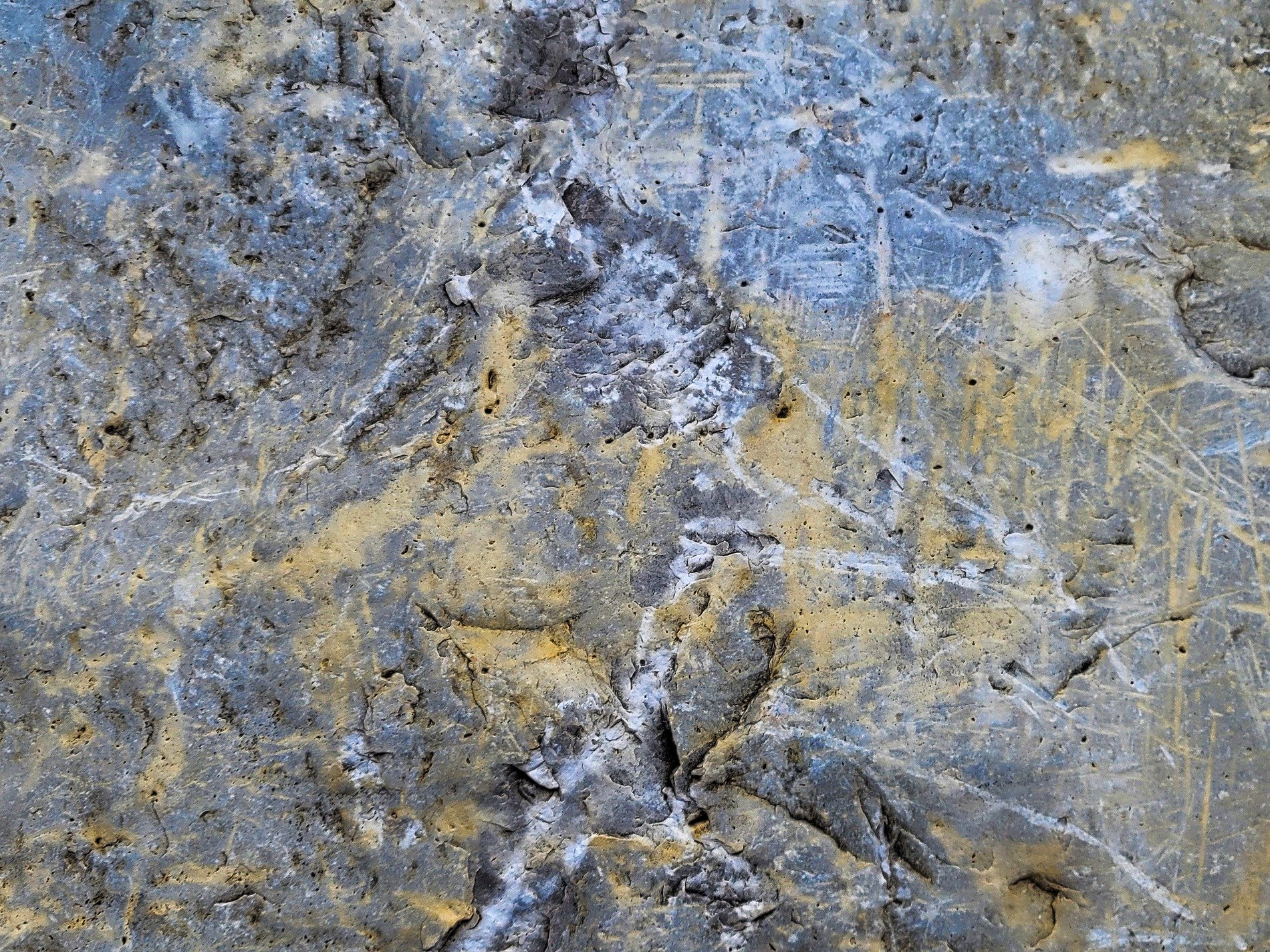 Rough skin holds the grit, pale marks trace the surface, time wears the finish