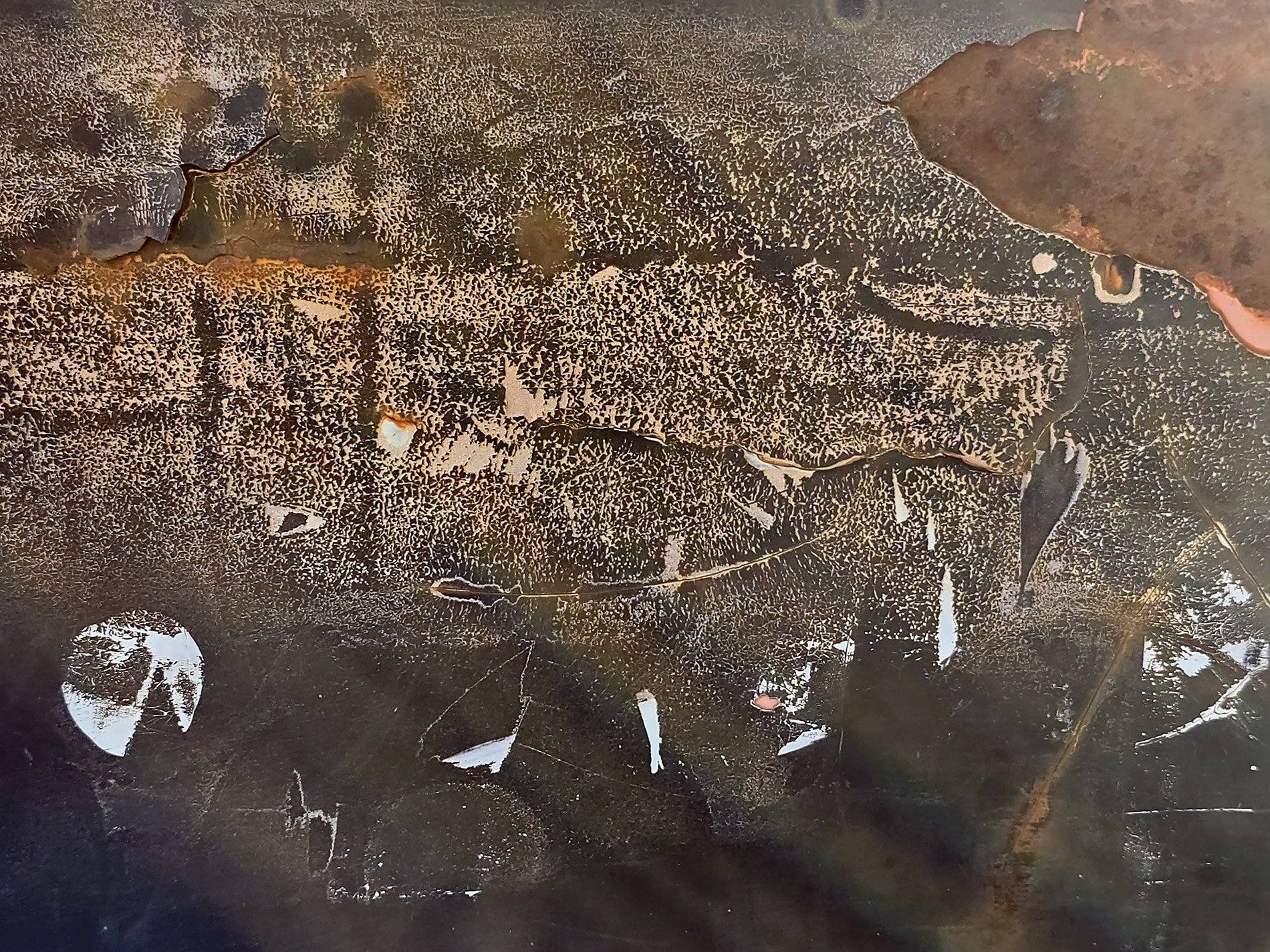 Rust peaks rise above, cream scales fall to dark valleys, iron yields to time.