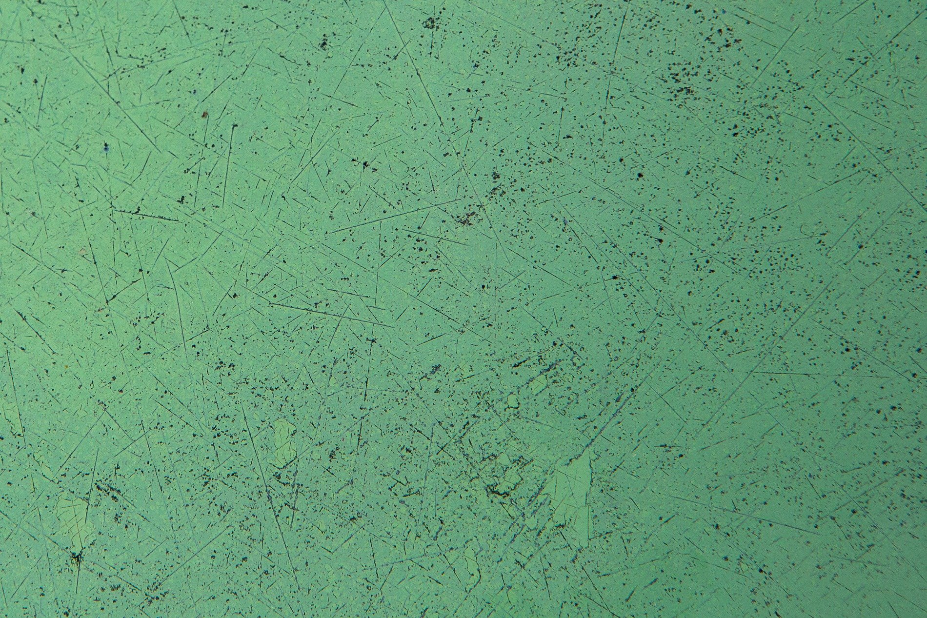 Rust spots on the blue, orange circles on the skin, grit meets the shadow