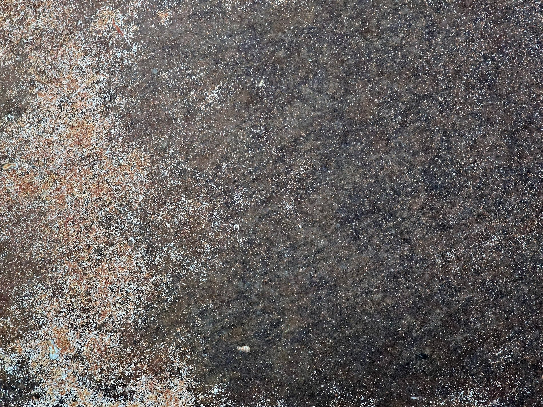 Salt specks on the dark, rust invades the speckled grey, earth turns into grit