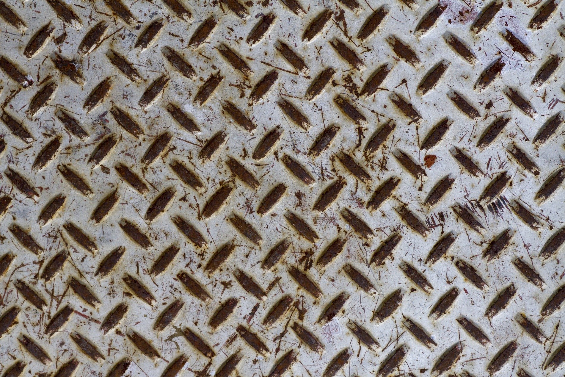 Silver fields have scars, dark spots scatter on the skin, grit holds the pattern