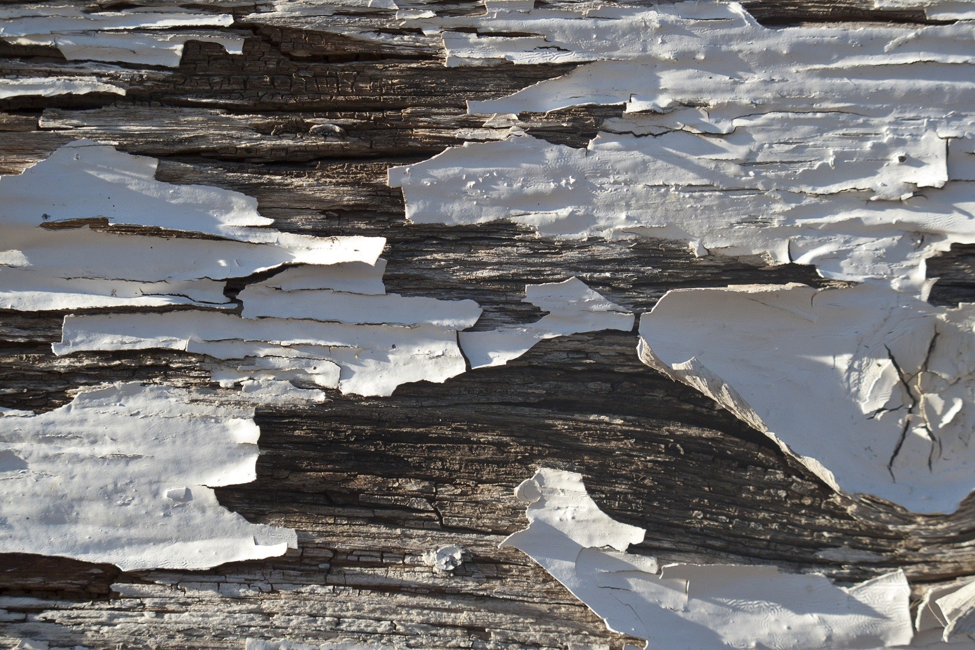 Silver grain flows fast, vertical lines trace the field, time holds the finish