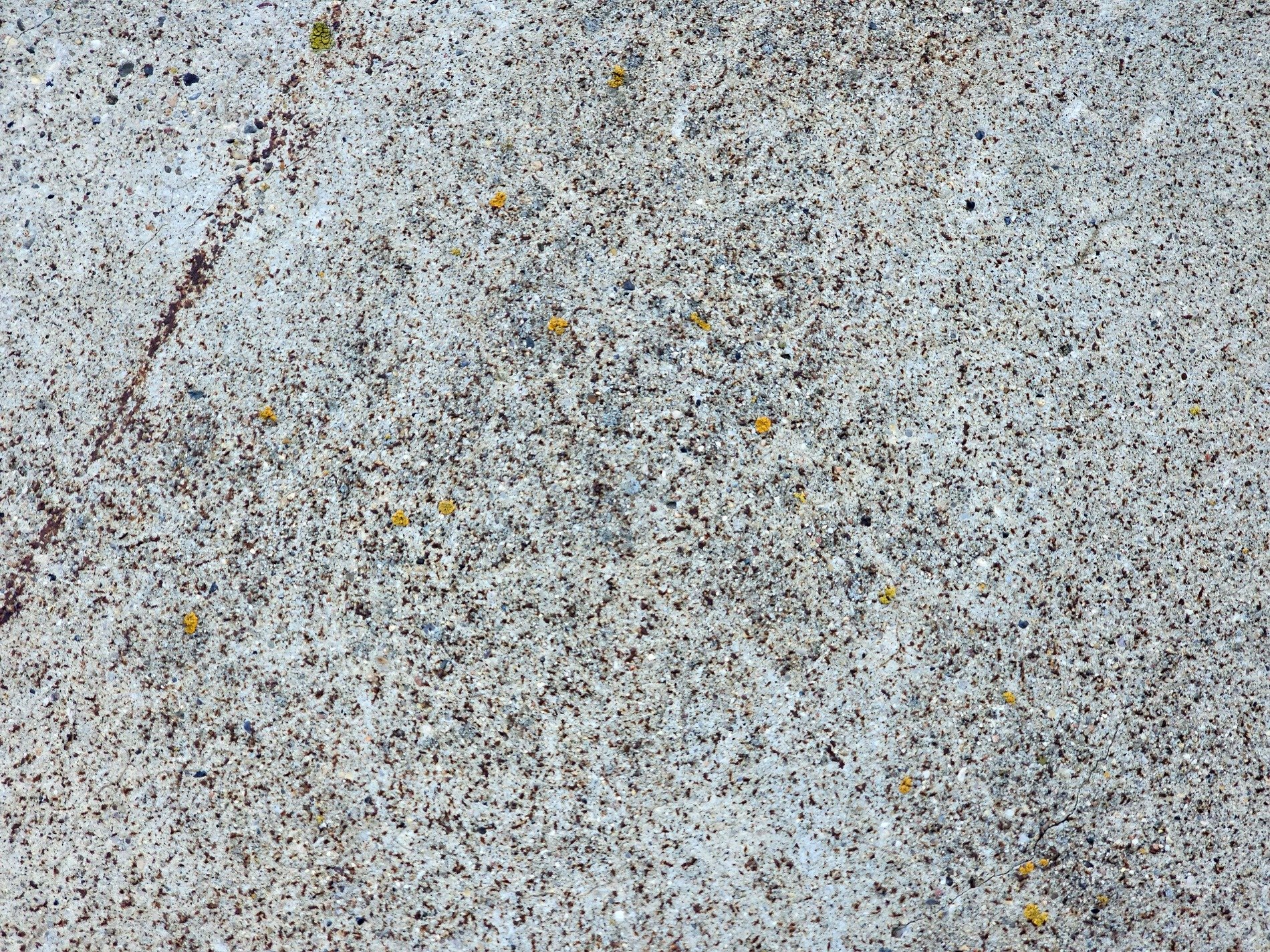 Rough grey surface spreads, golden lichen finds its home, speckled grit endures