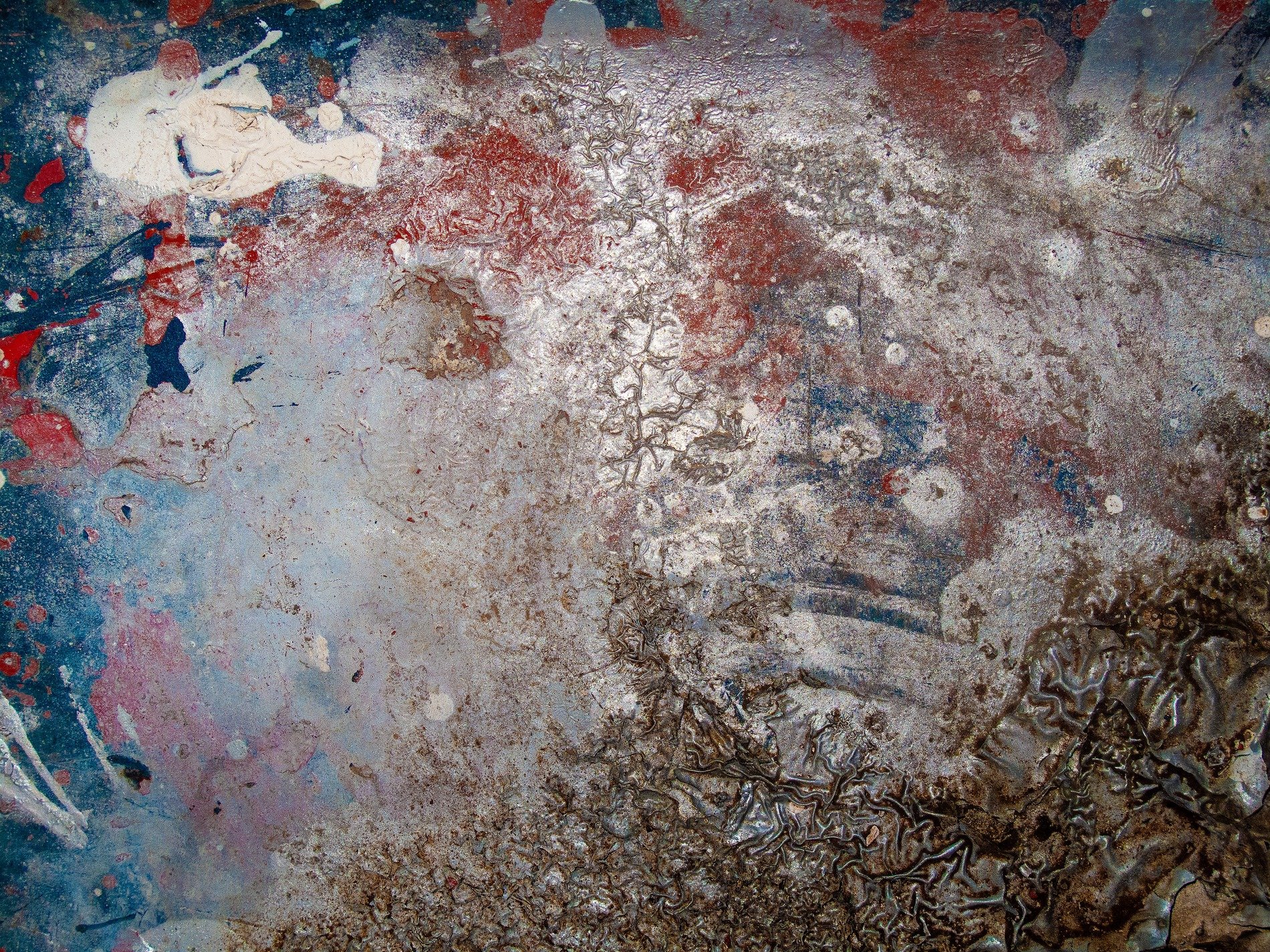 Silver mist on blue, red and brown spots mark the skin, grit holds the finish