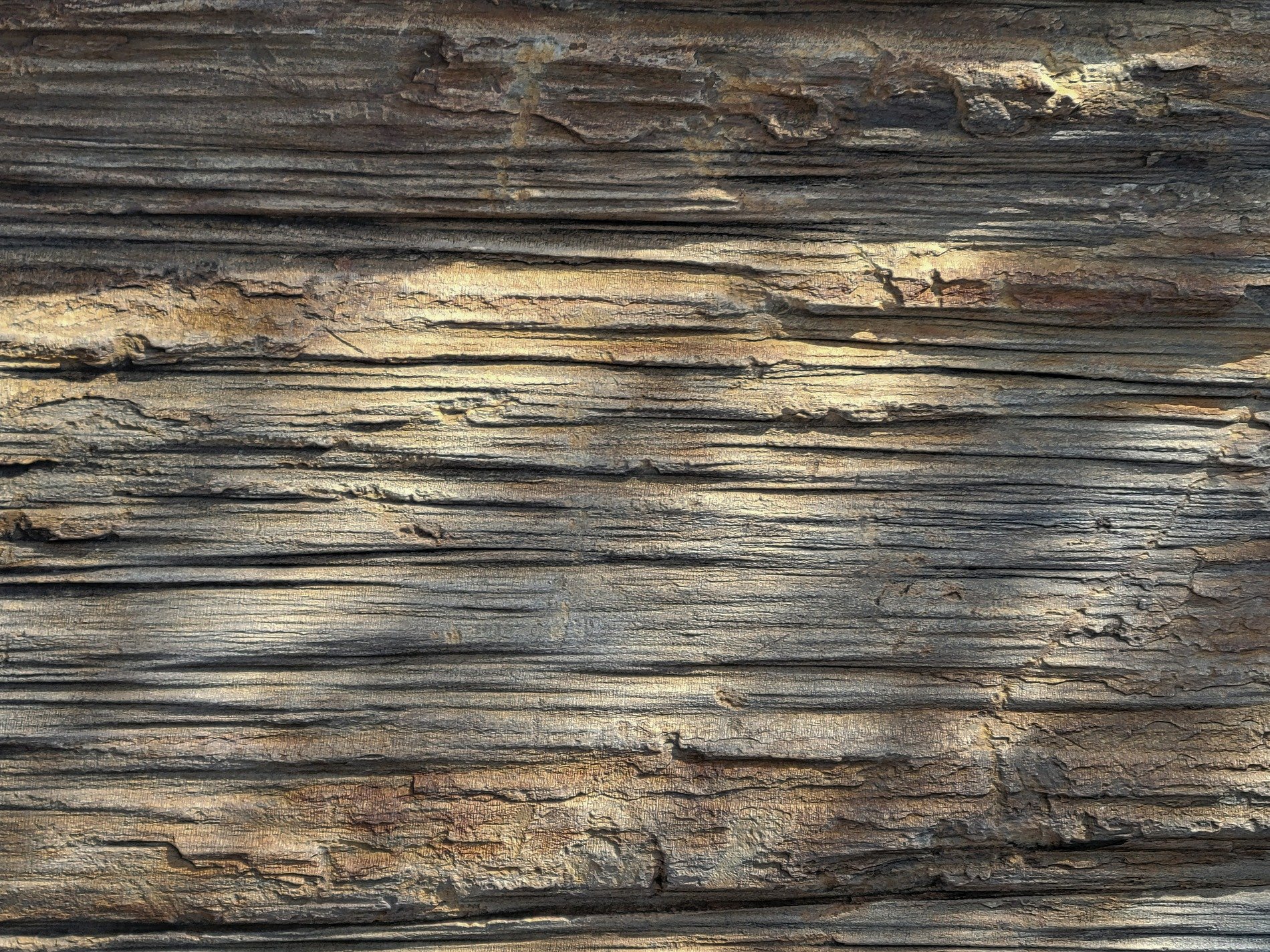 Silver ridges flow fast, horizontal grain holds the light, weather wears the line