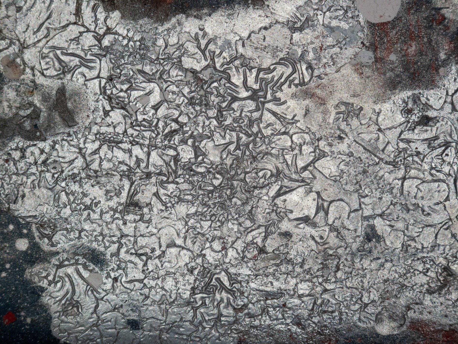 Silver scales drift off, jagged forms meet the dark field, time wears the finish