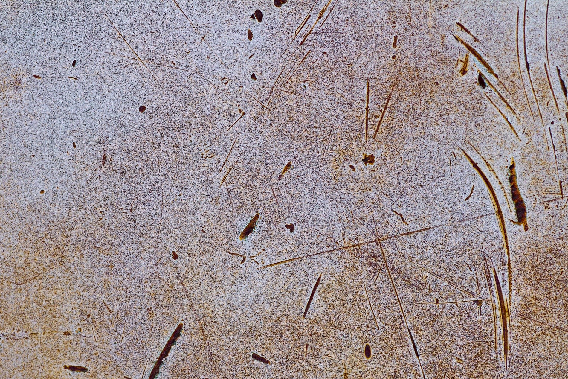 Silver skin has pits, grey marks trace the field, light catches the grit