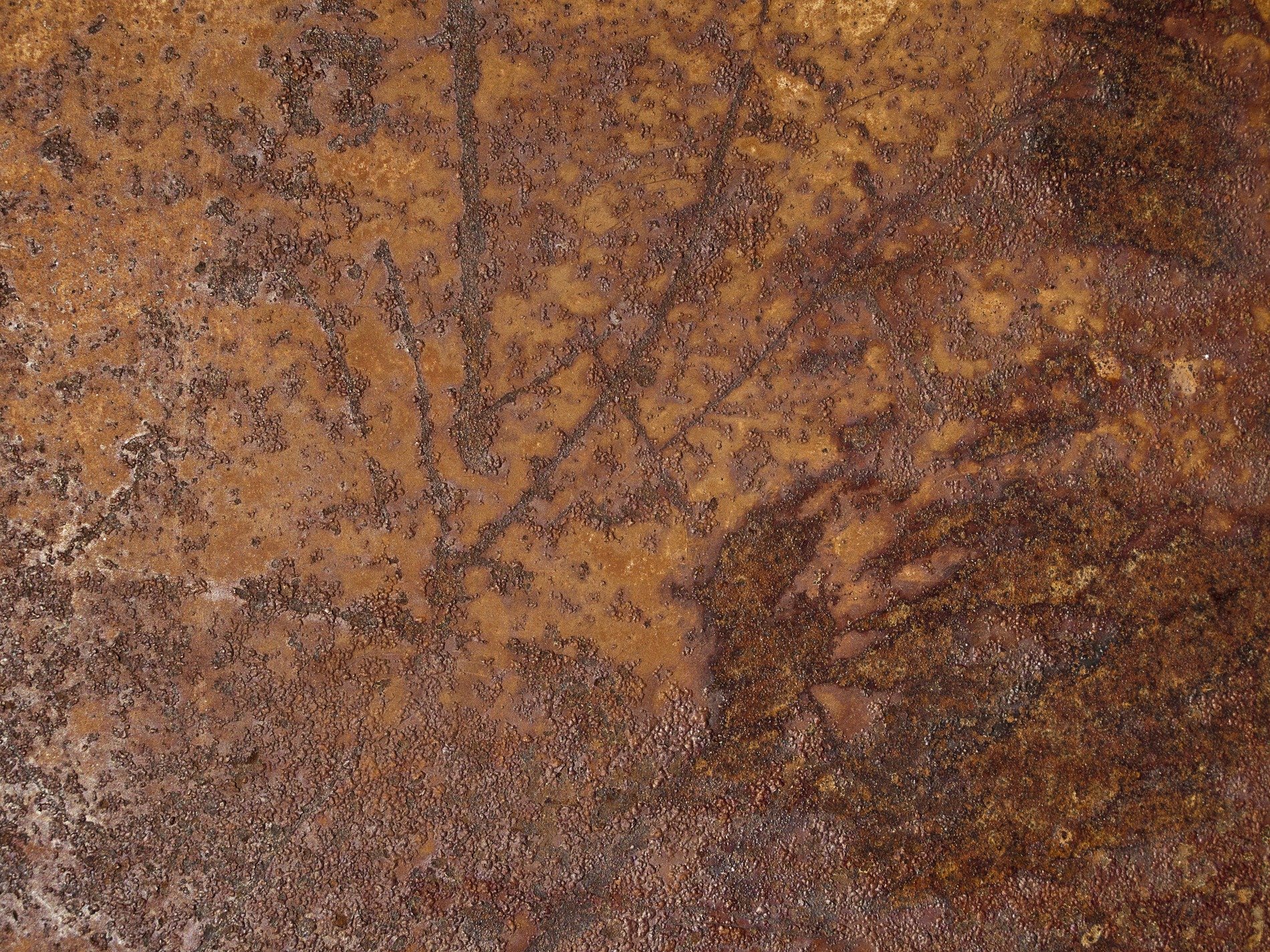 Silver skin has pits, grey marks trace the heavy plate, grit holds the surface