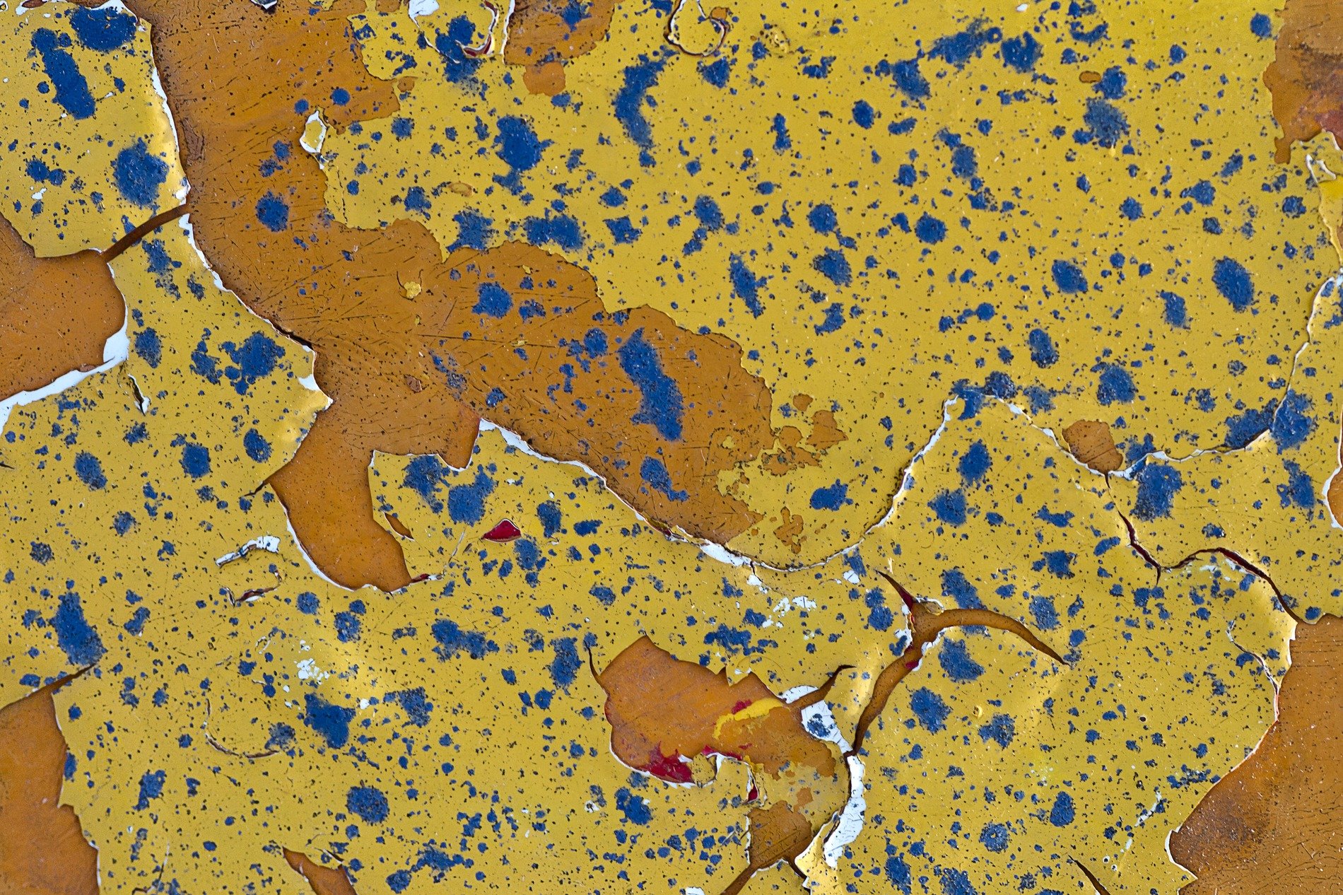 Yellow skin curls back, blue shadows mark the surface, cracks divide the light