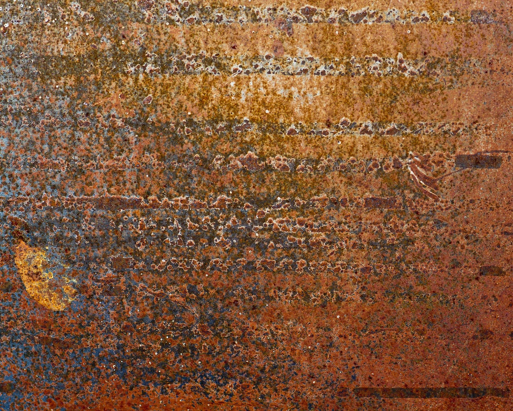 Rust blooms on the plate, orange dust eats through the grain, time decays the steel