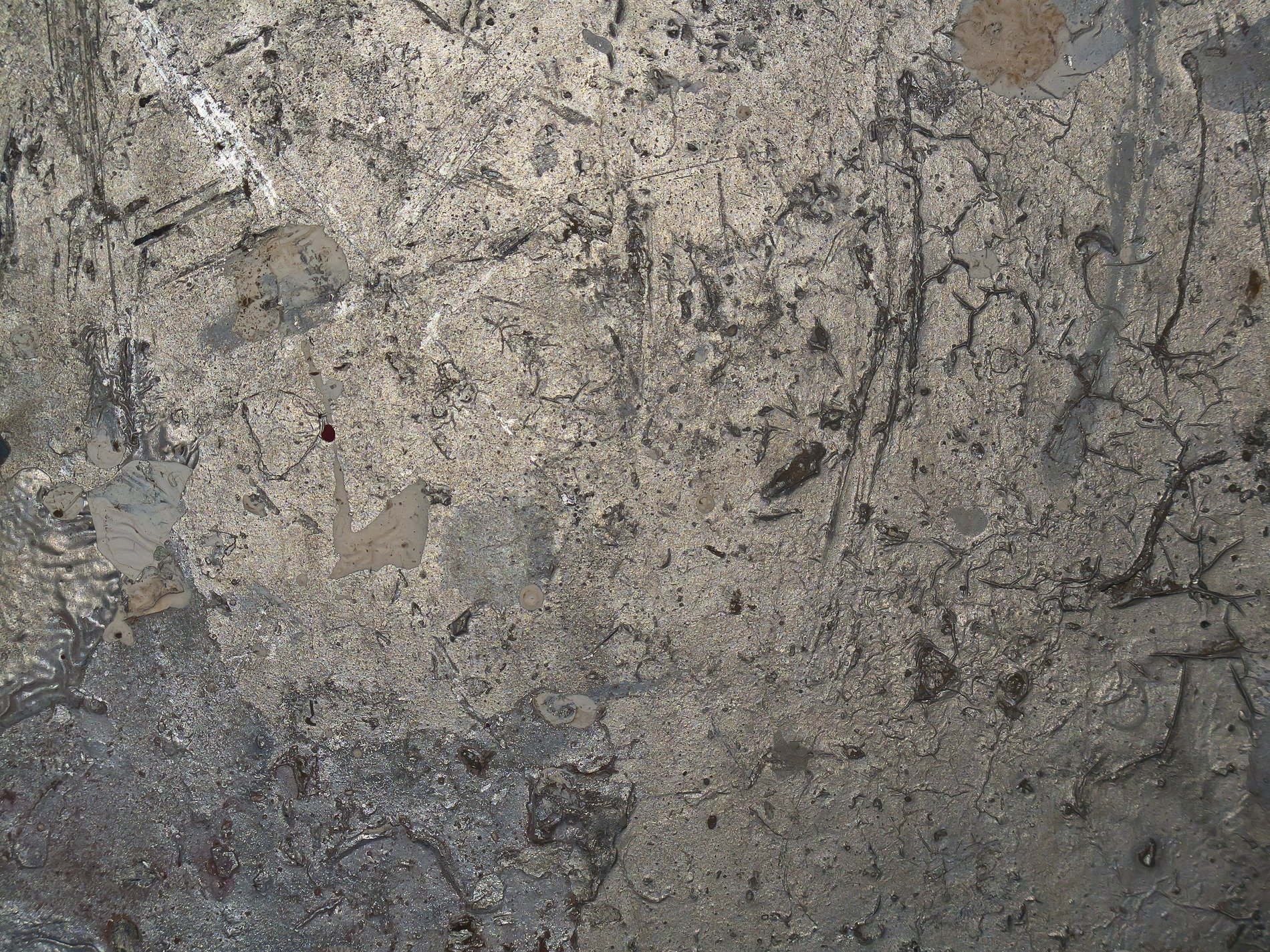 Silver skin is marred, jagged lines trace the metal, light catches the grit