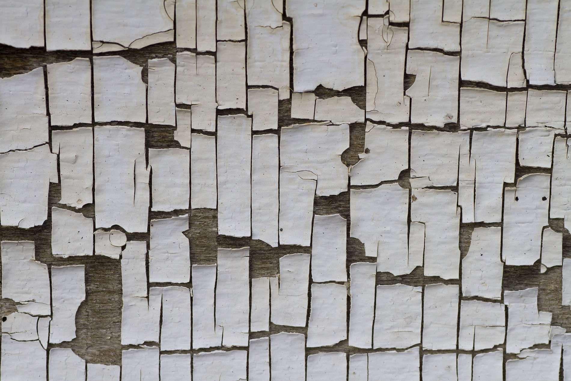 White flakes curl away, aged wood shows beneath the cracks, time peels back the shell